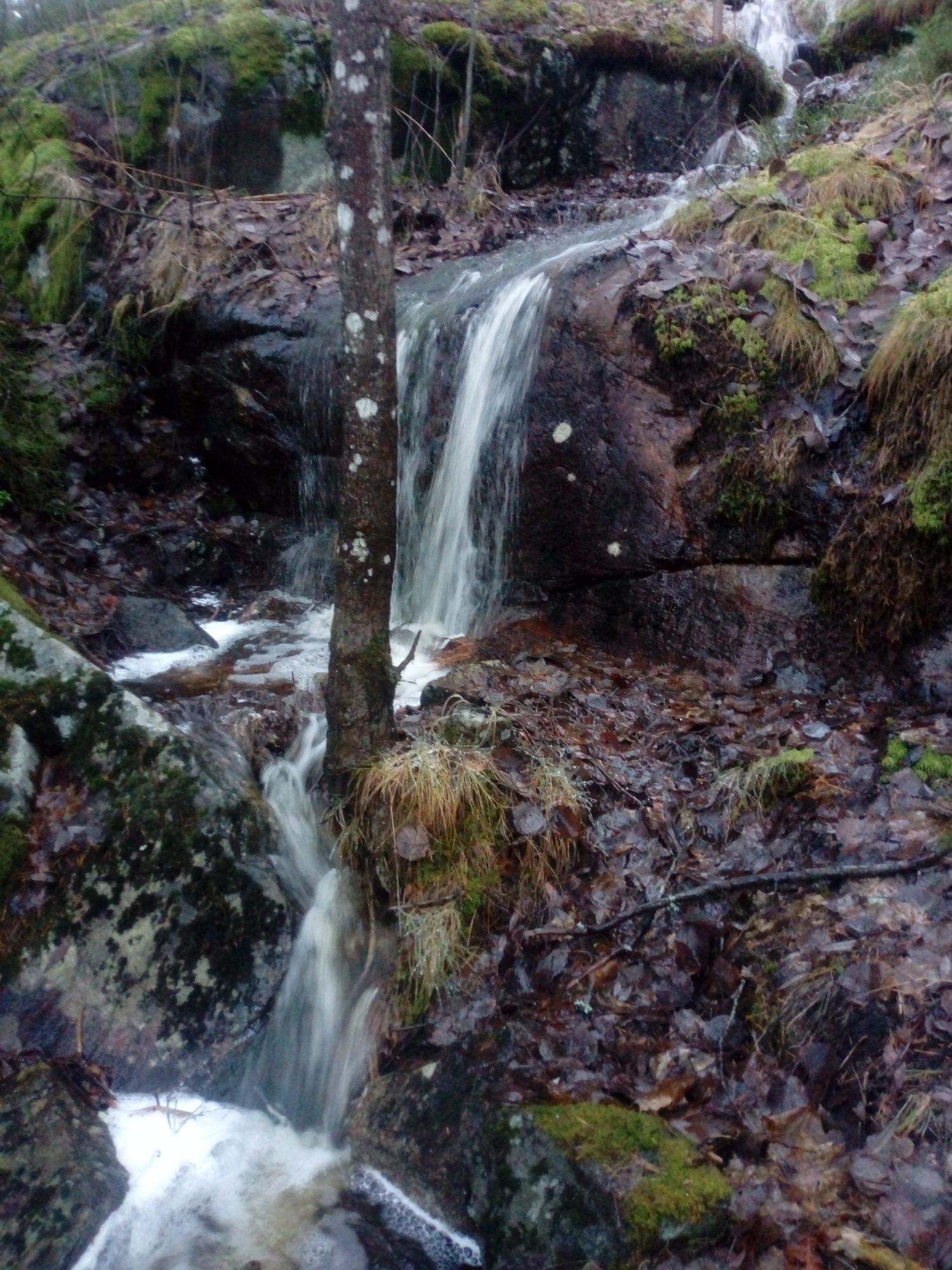 Valokuvaaja: Sinikka Kankare Valokuvaaja: Sinikka Kankare