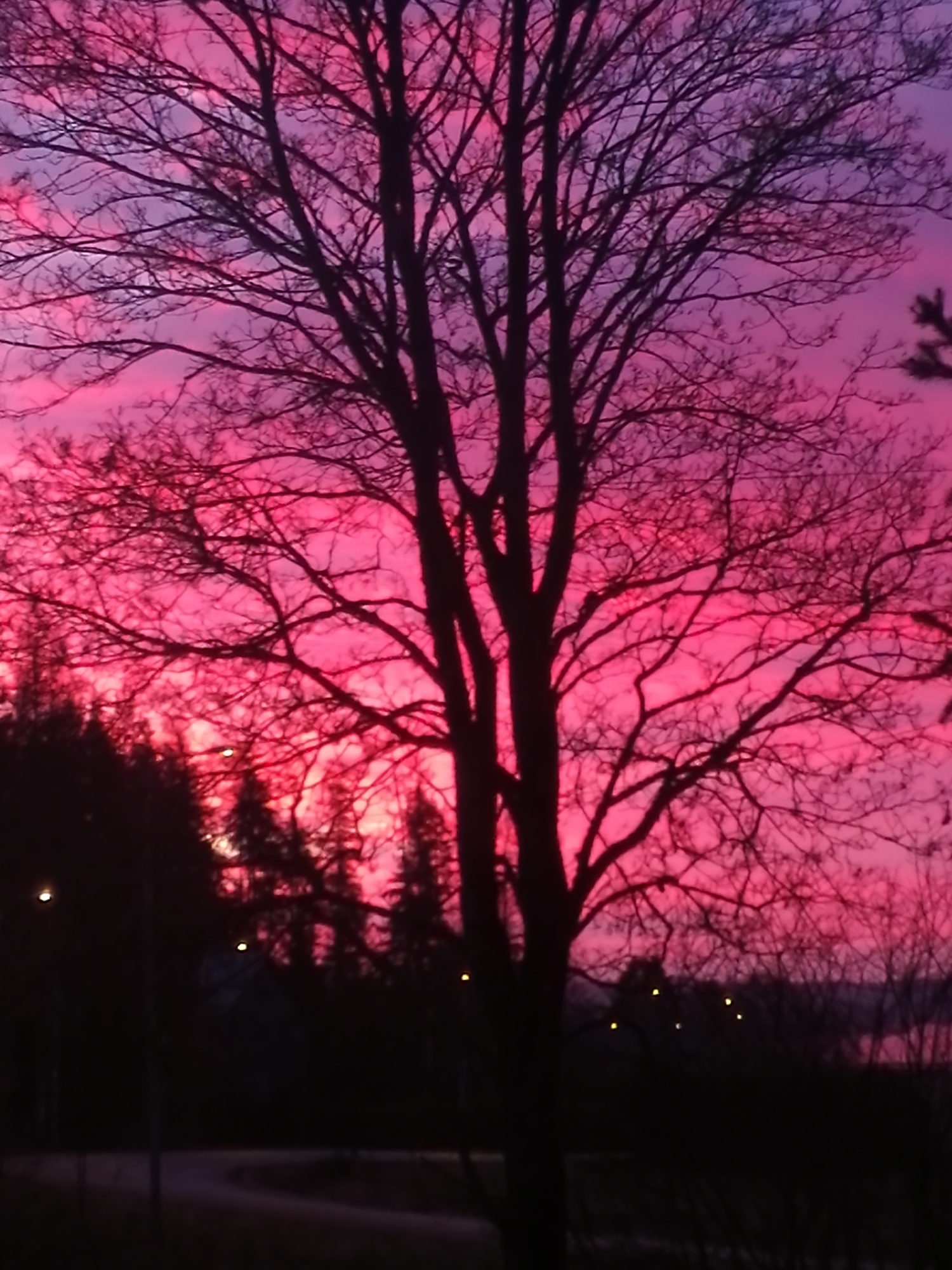 Valokuvaaja: Sanna Koski