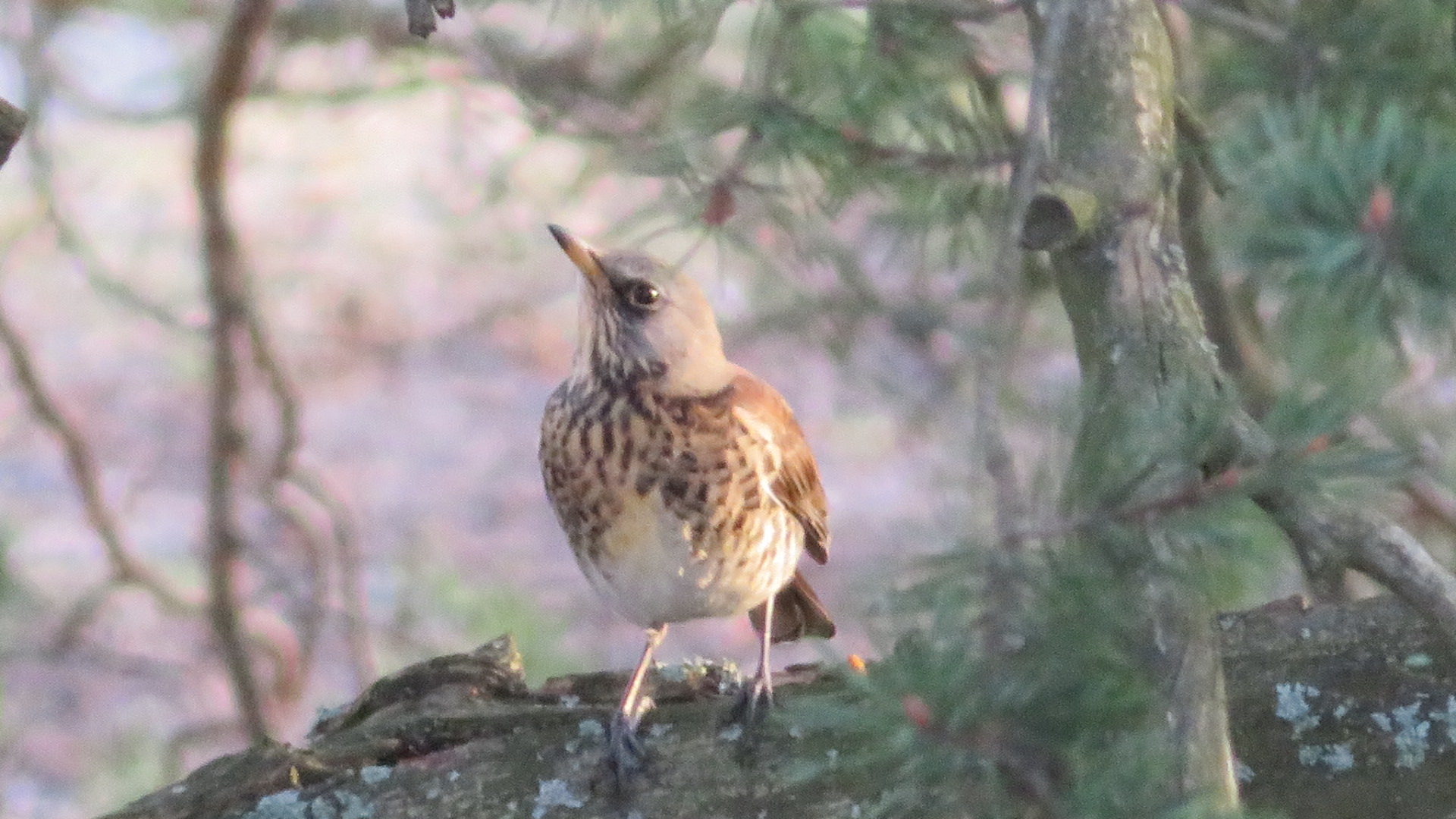 Valokuvaaja: Risto Kangassalo