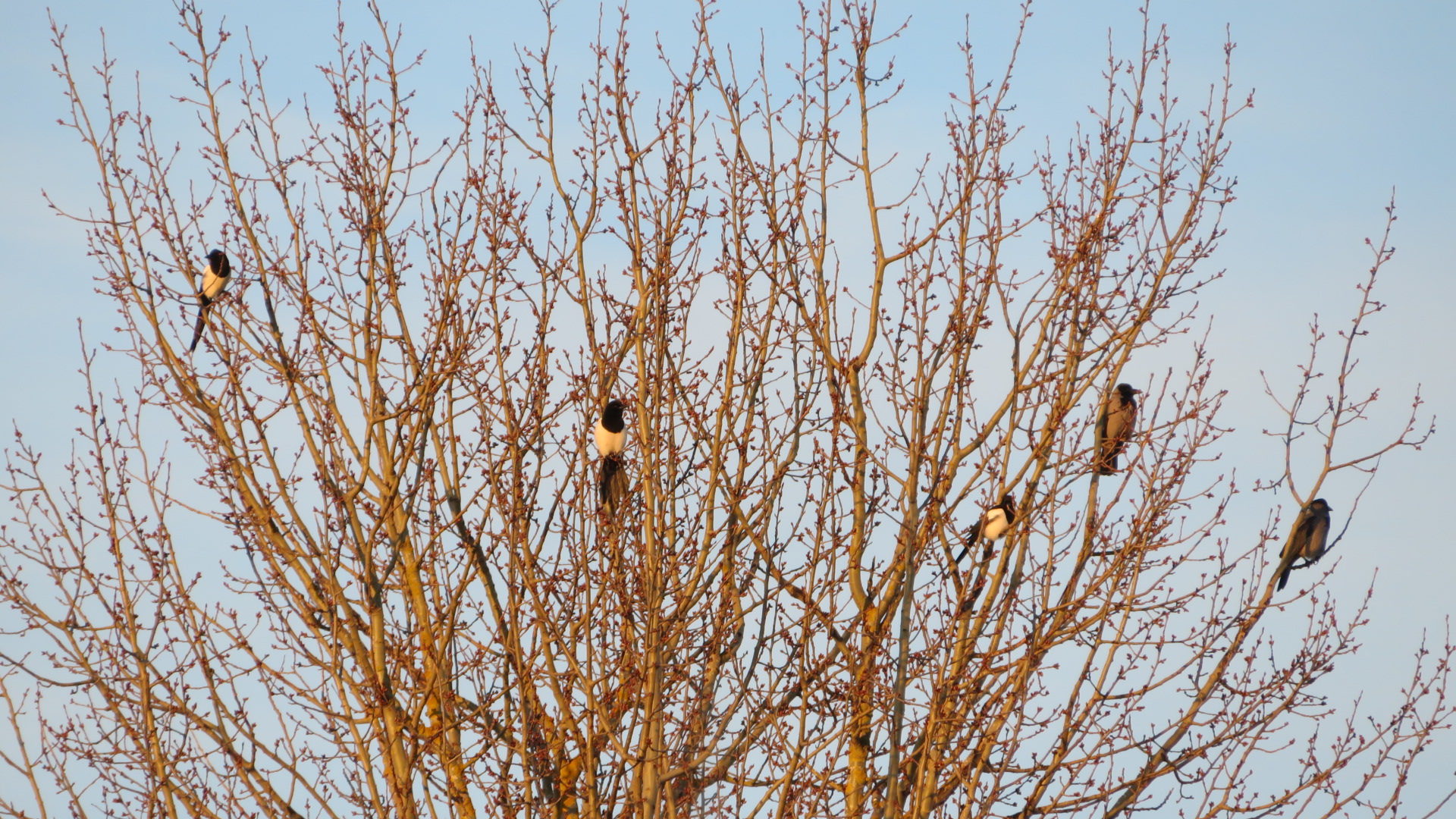 Valokuvaaja: Risto Kangassalo