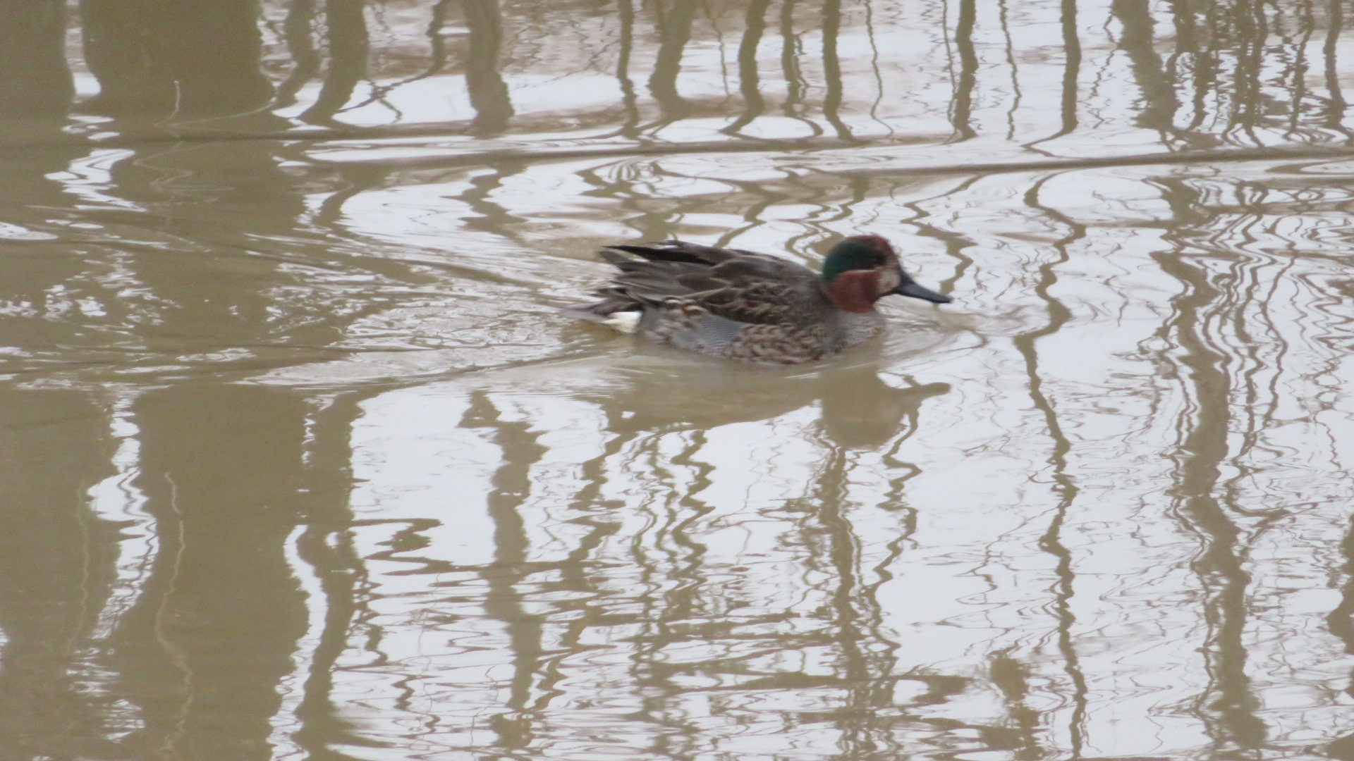 Valokuvaaja: Risto Kangassalo