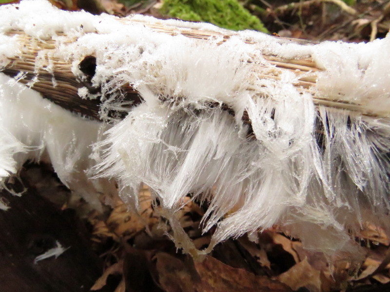 Valokuvaaja: Liisa Johansson