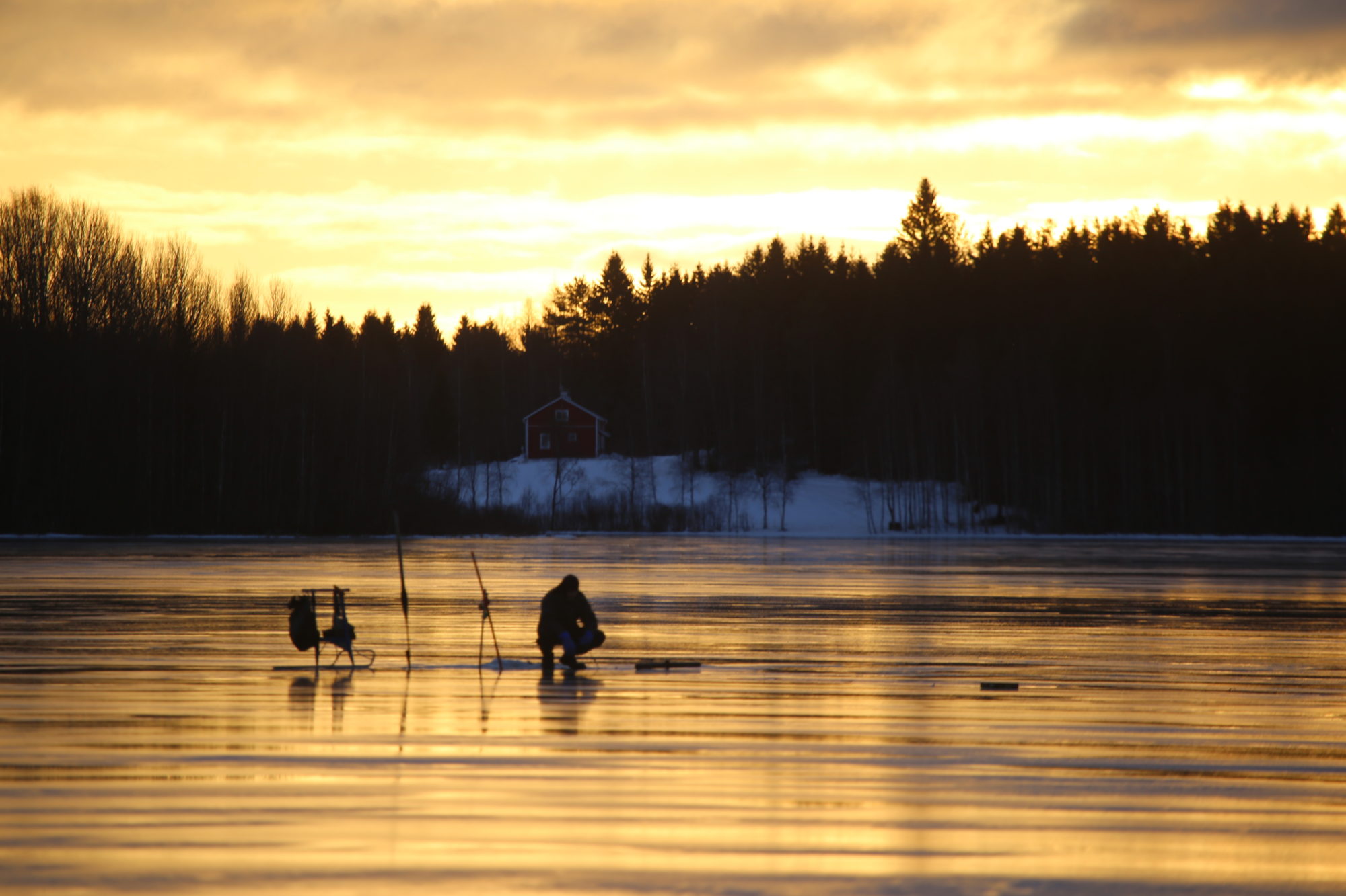 Valokuvaaja: Raija Kokkola