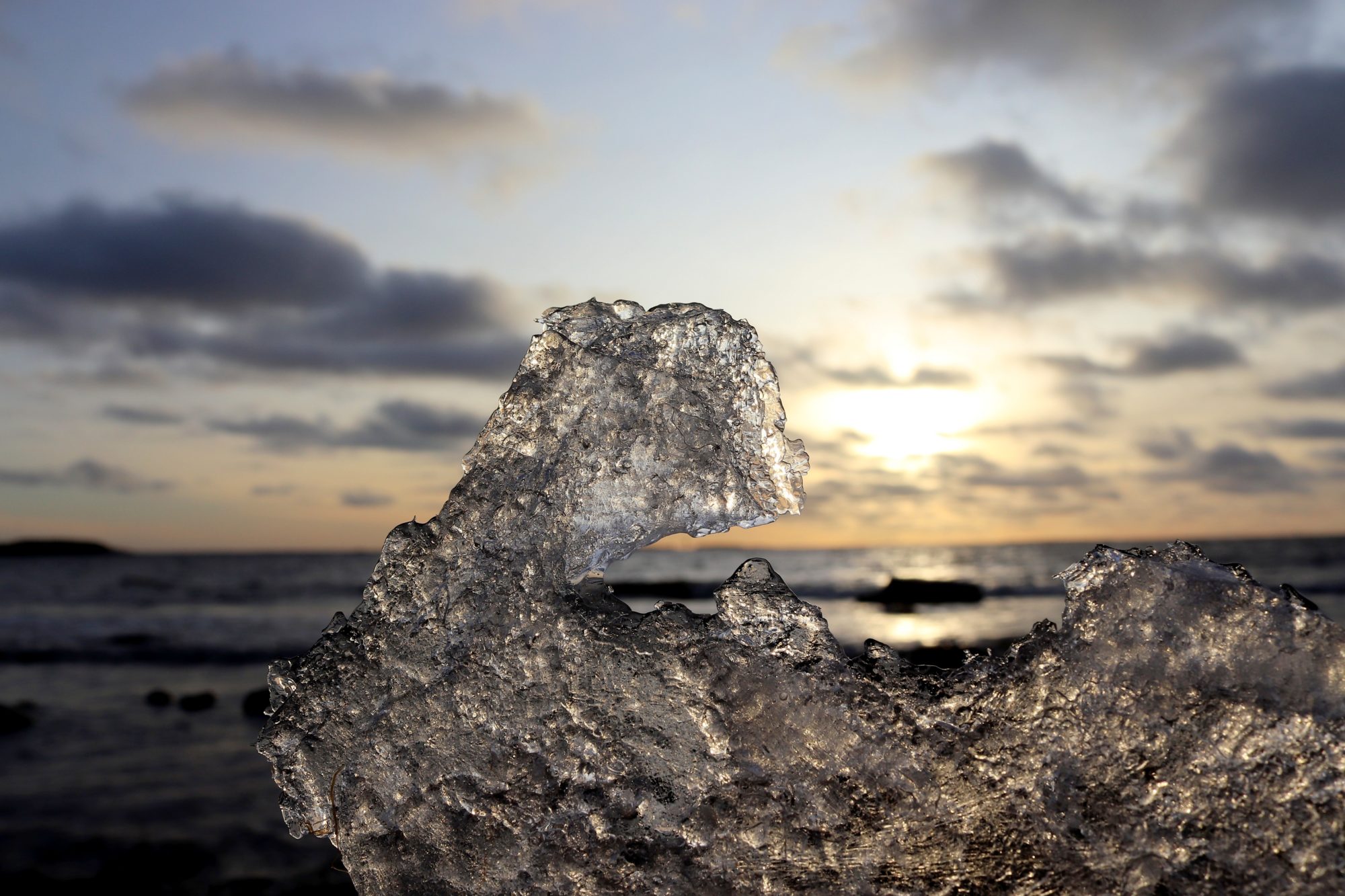 Valokuvaaja: Irja Lehtinen Valokuvaaja: Irja Lehtinen