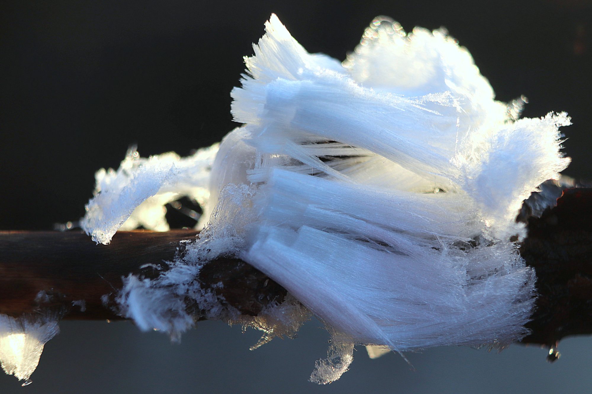 Valokuvaaja: Irja Lehtinen