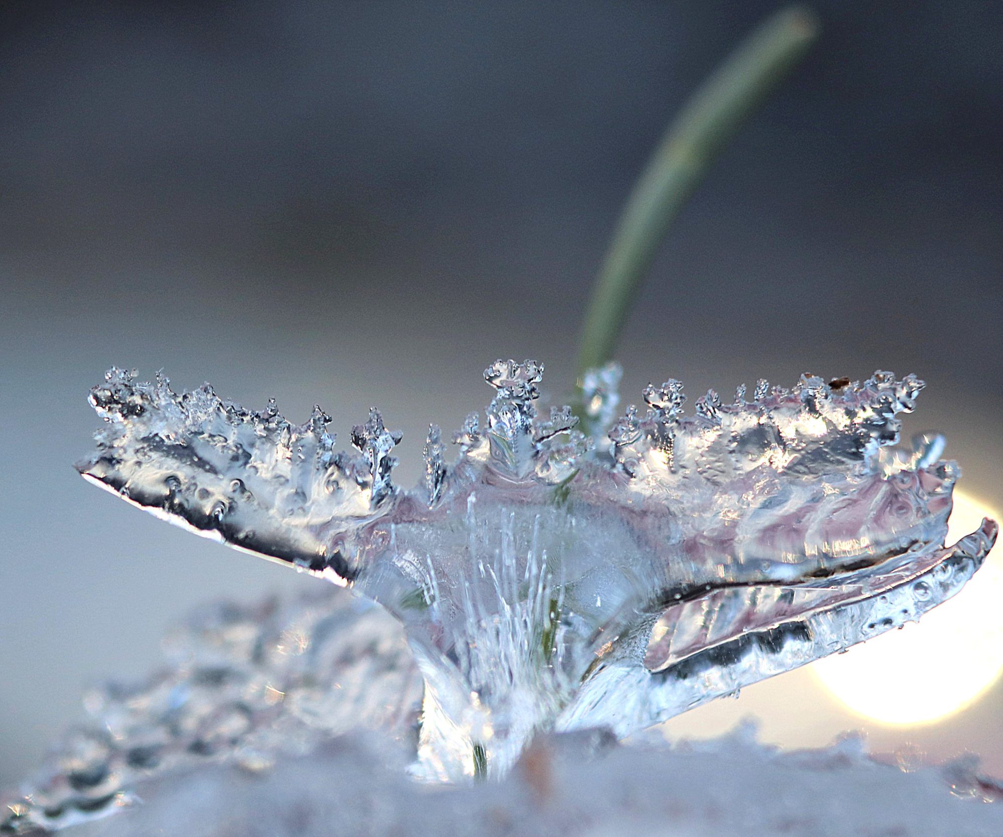 Valokuvaaja: Irja Lehtinen