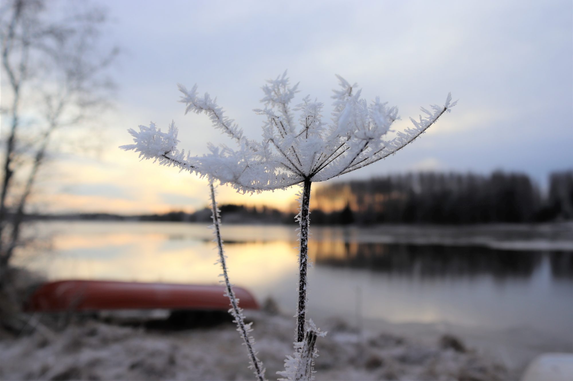 Valokuvaaja: Irja Lehtinen