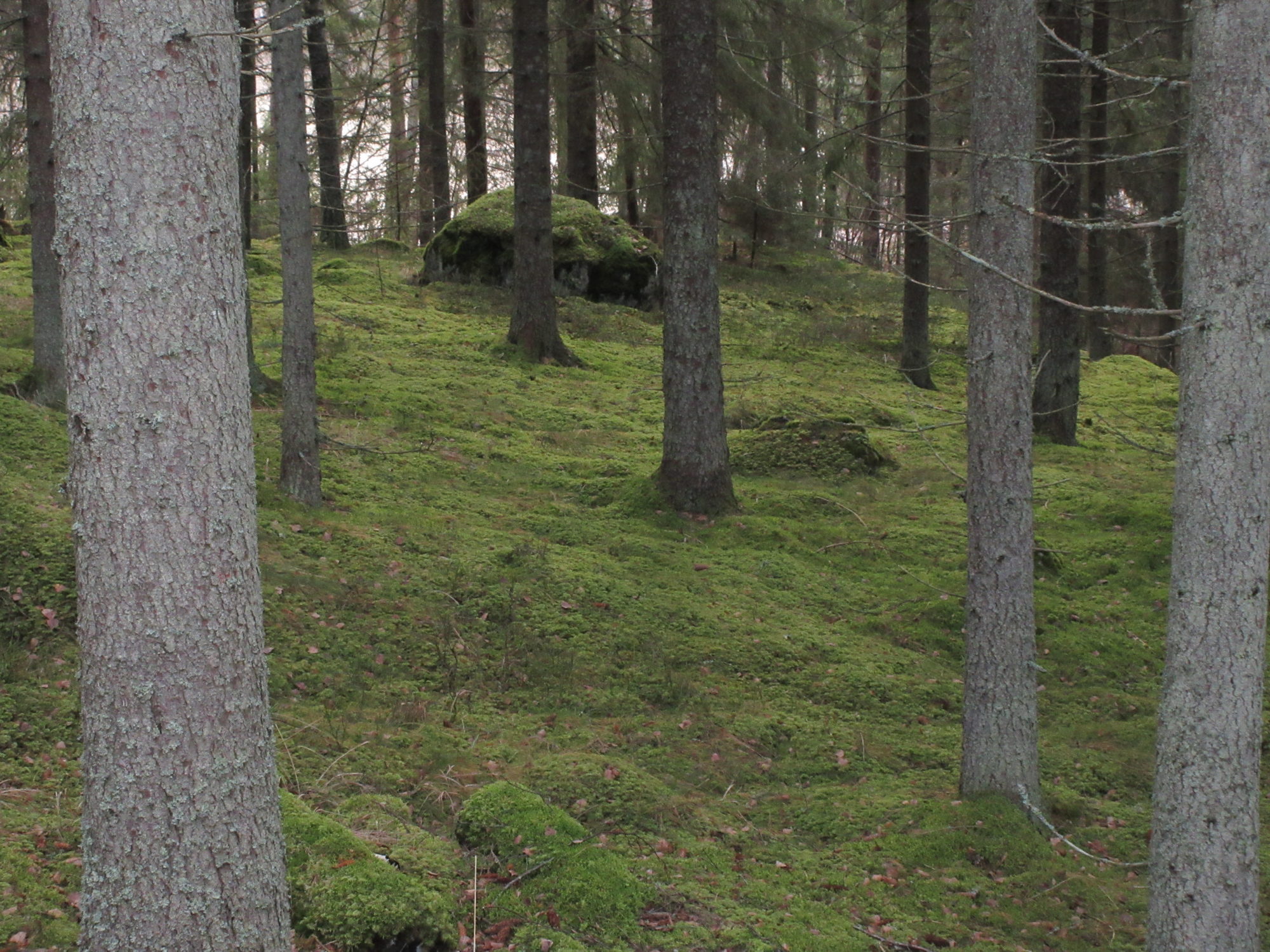 Valokuvaaja: Terttu Rantanen