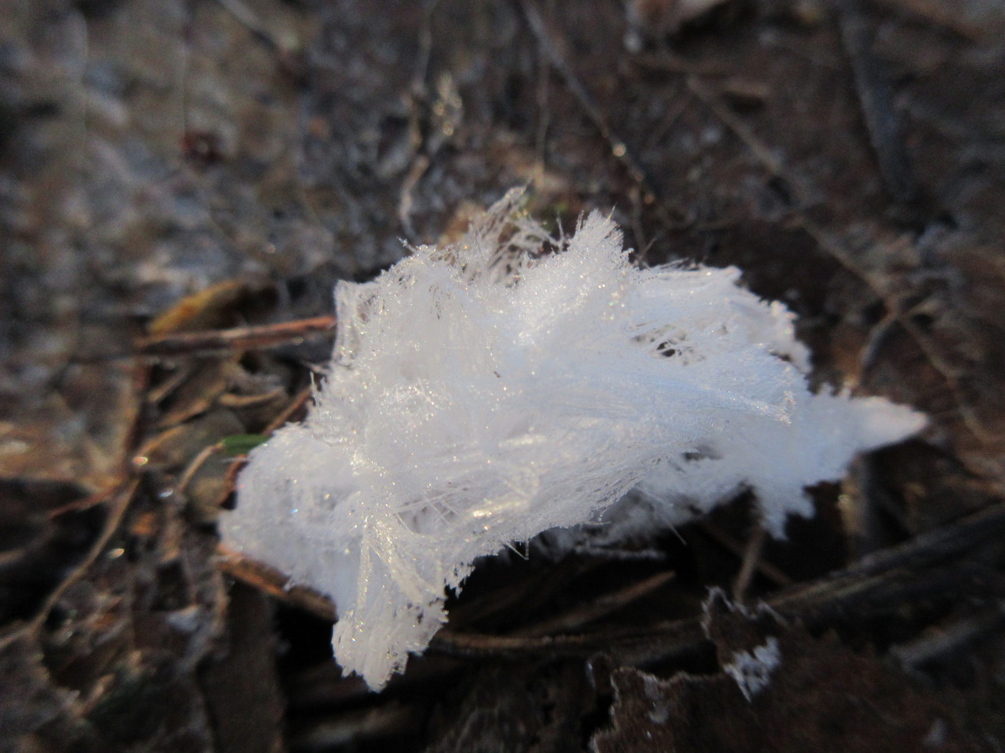 Valokuvaaja: Terttu Rantanen