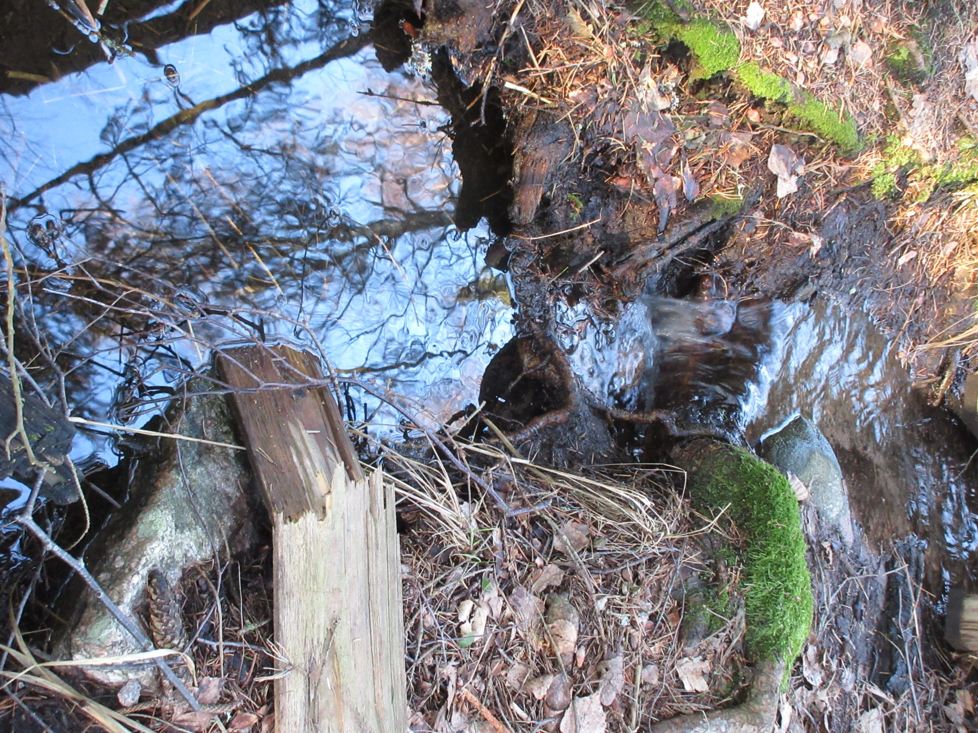 Valokuvaaja: Terttu Rantanen