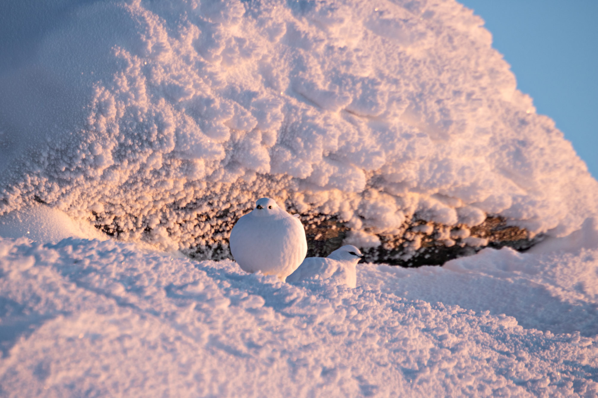 Valokuvaaja: Katri Niskanen