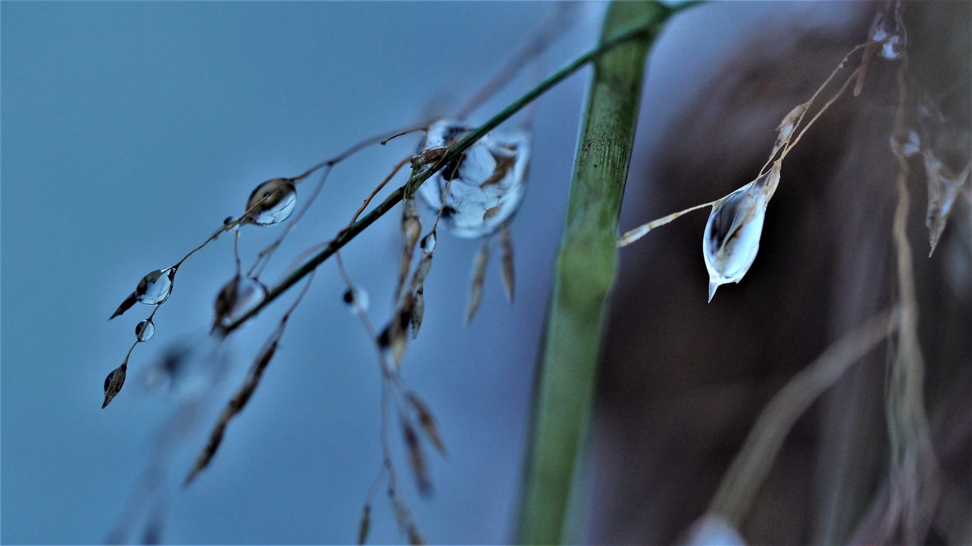 Valokuvaaja: Arja Valtonen Valokuvaaja: Arja Valtonen