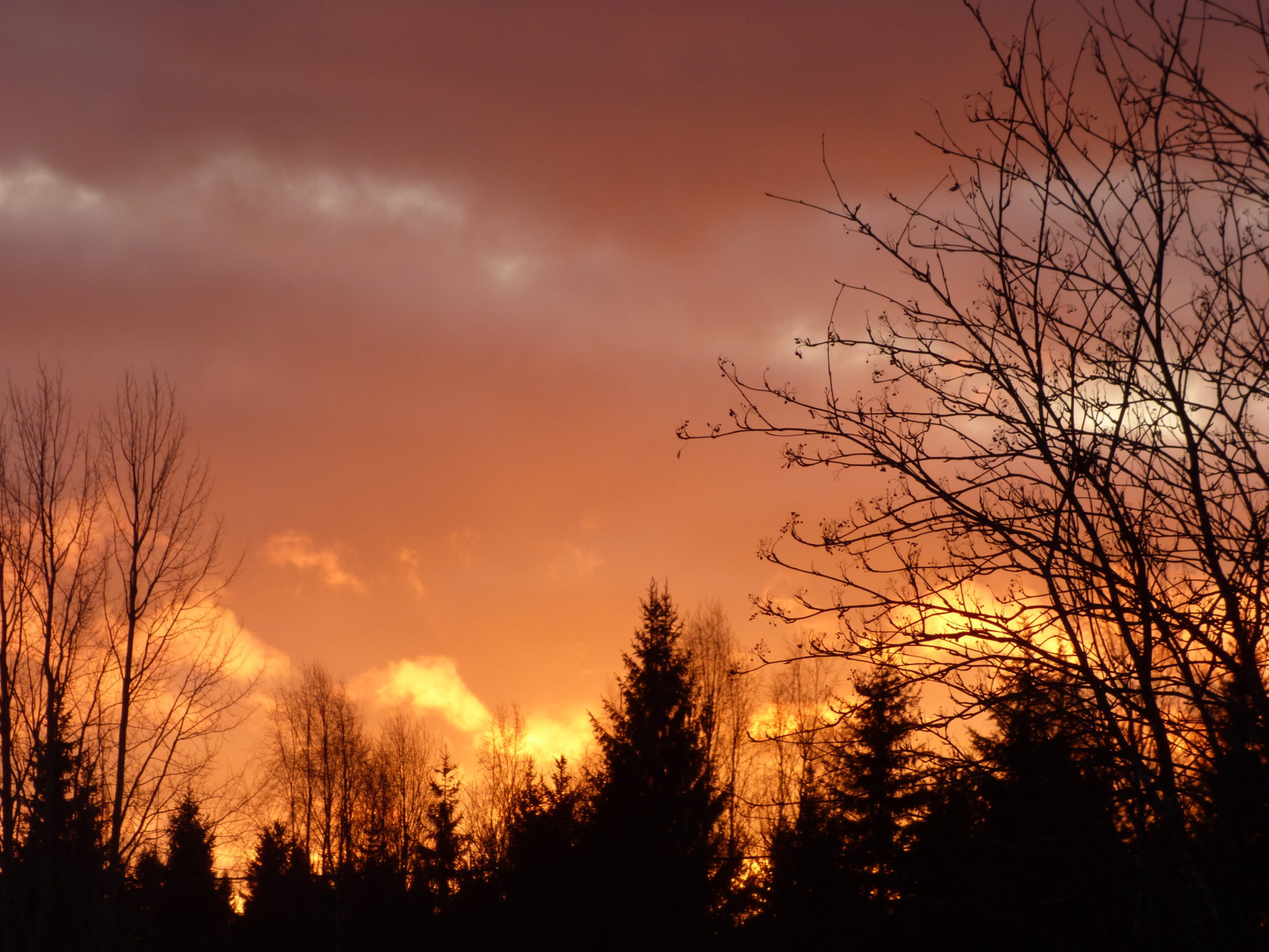 Valokuvaaja: Hannu Rissanen