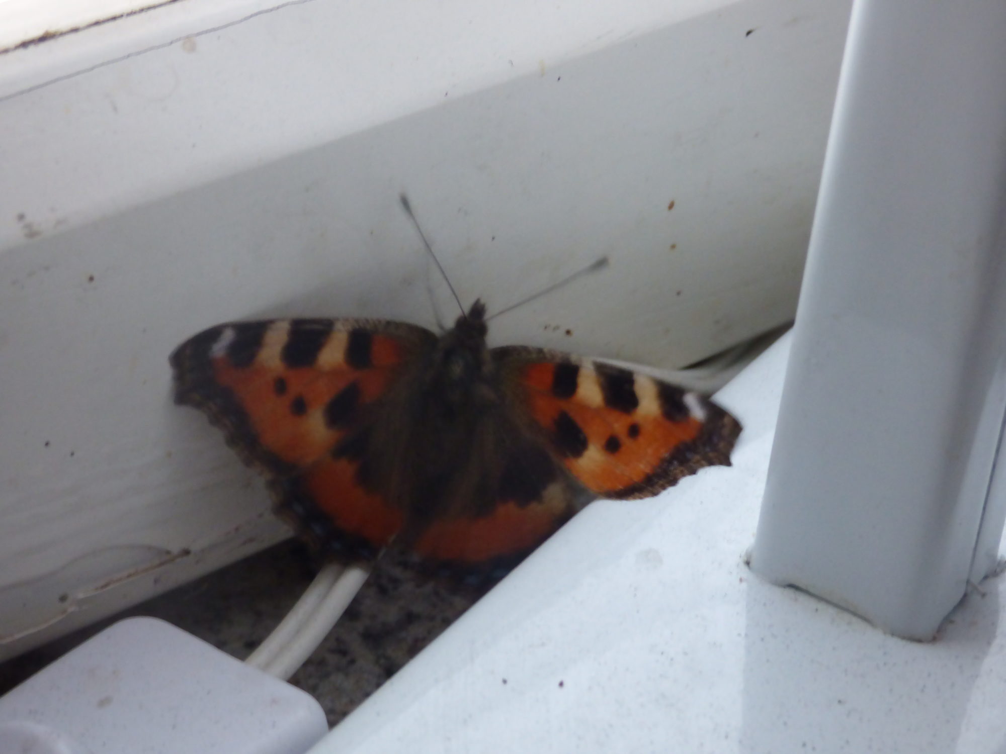 Valokuvaaja: Hannu Rissanen