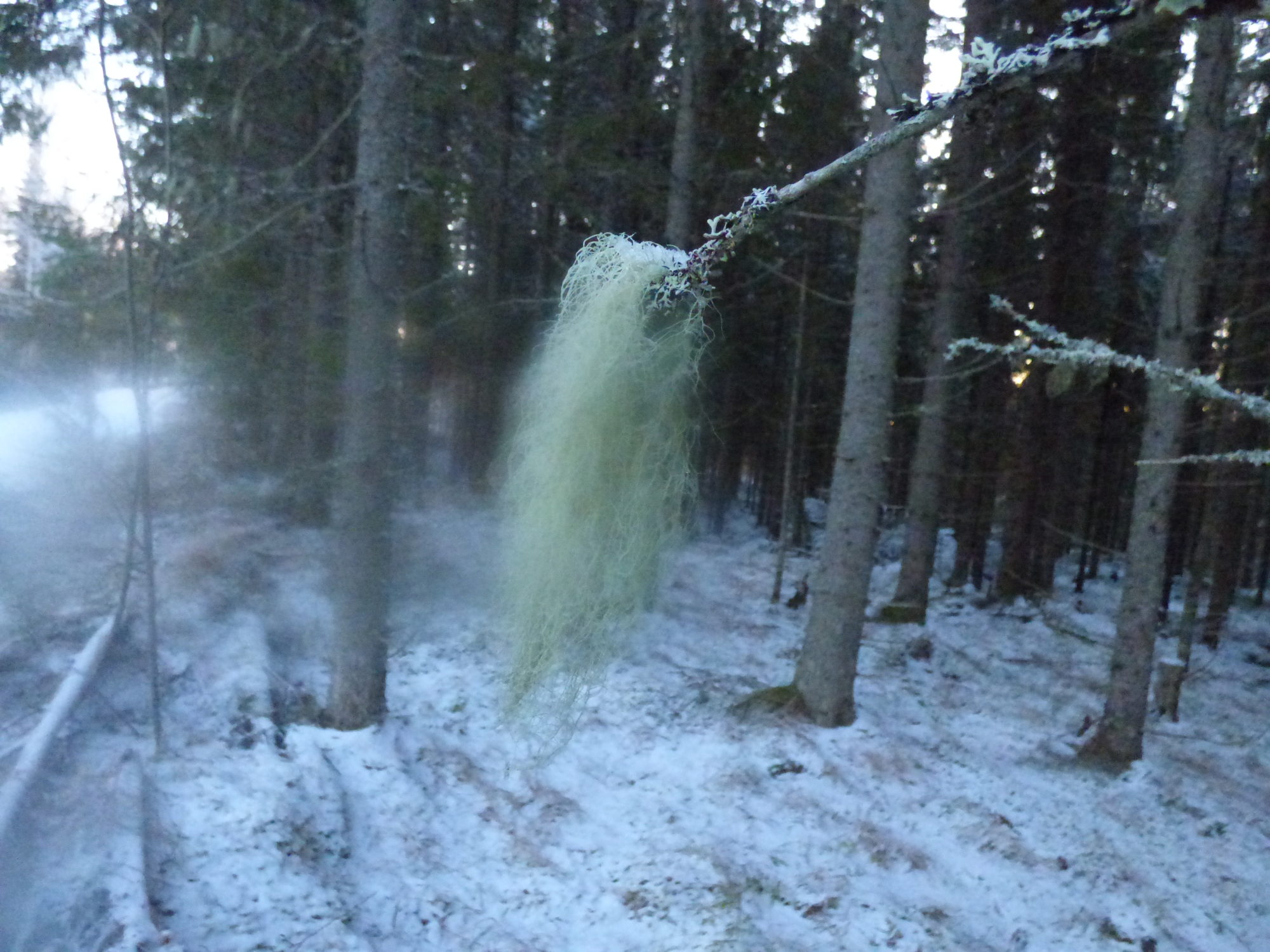 Valokuvaaja: Hannu Rissanen