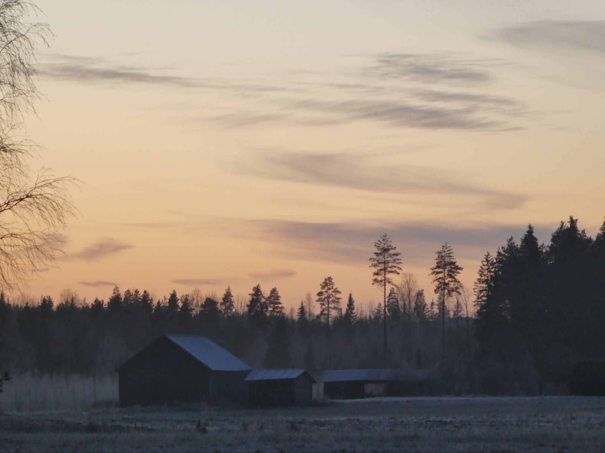 Valokuvaaja: Anja Mustamaa