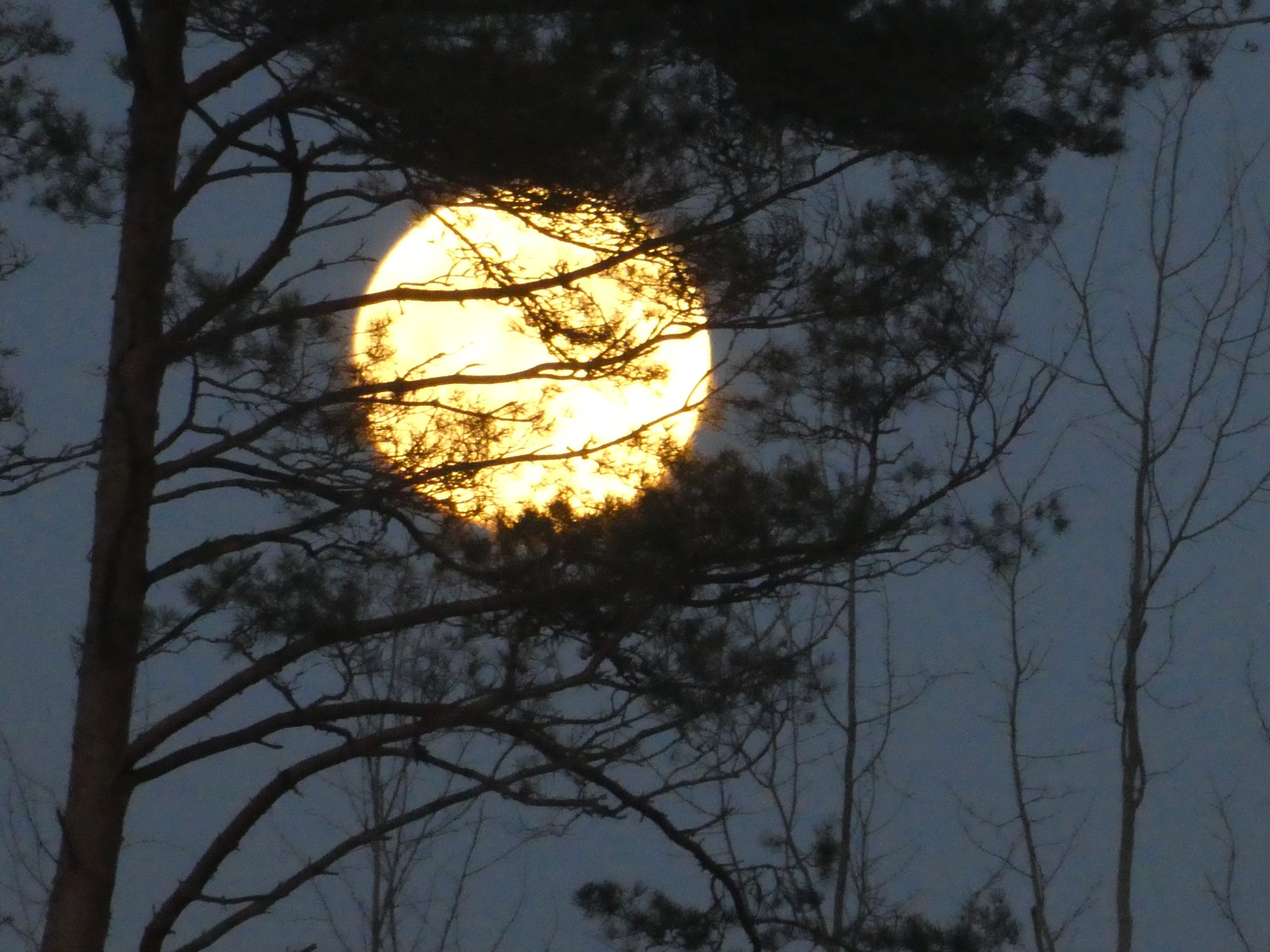 Valokuvaaja: Anja Mustamaa