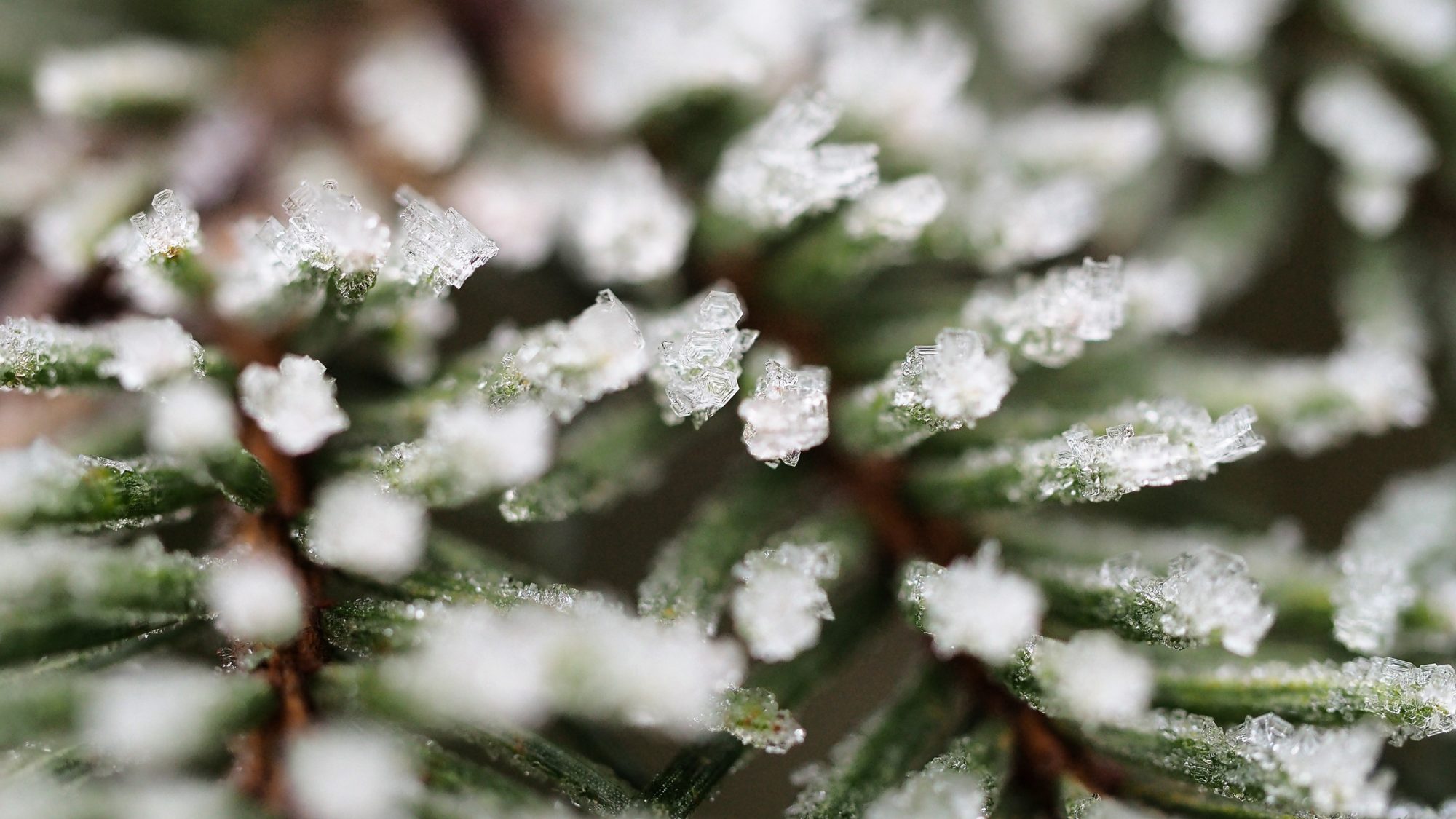 Valokuvaaja: Arja Valtonen