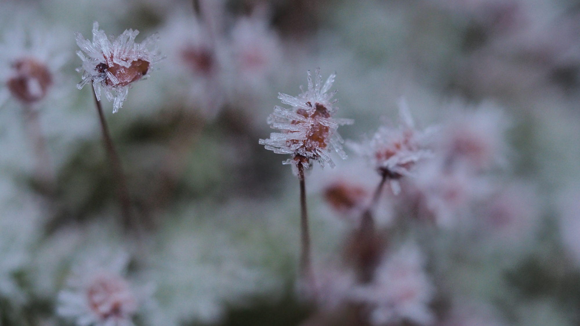 Valokuvaaja: Arja Valtonen