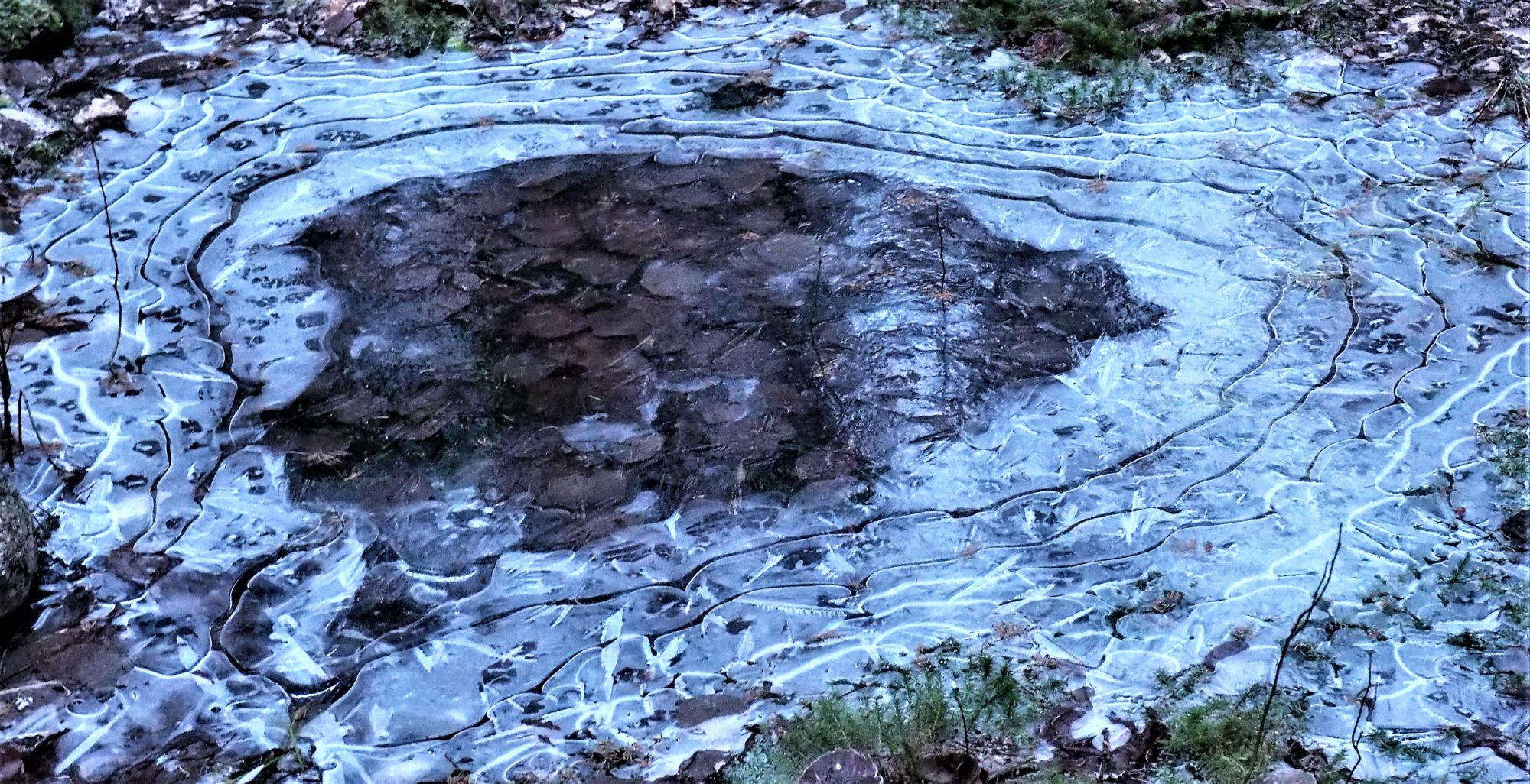 Valokuvaaja: Arja Valtonen