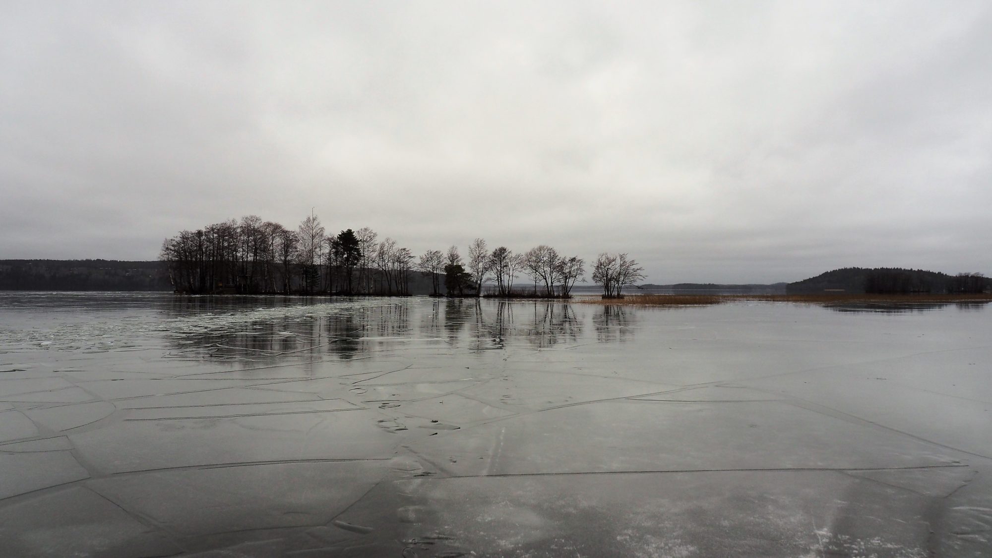 Valokuvaaja: Arja Valtonen