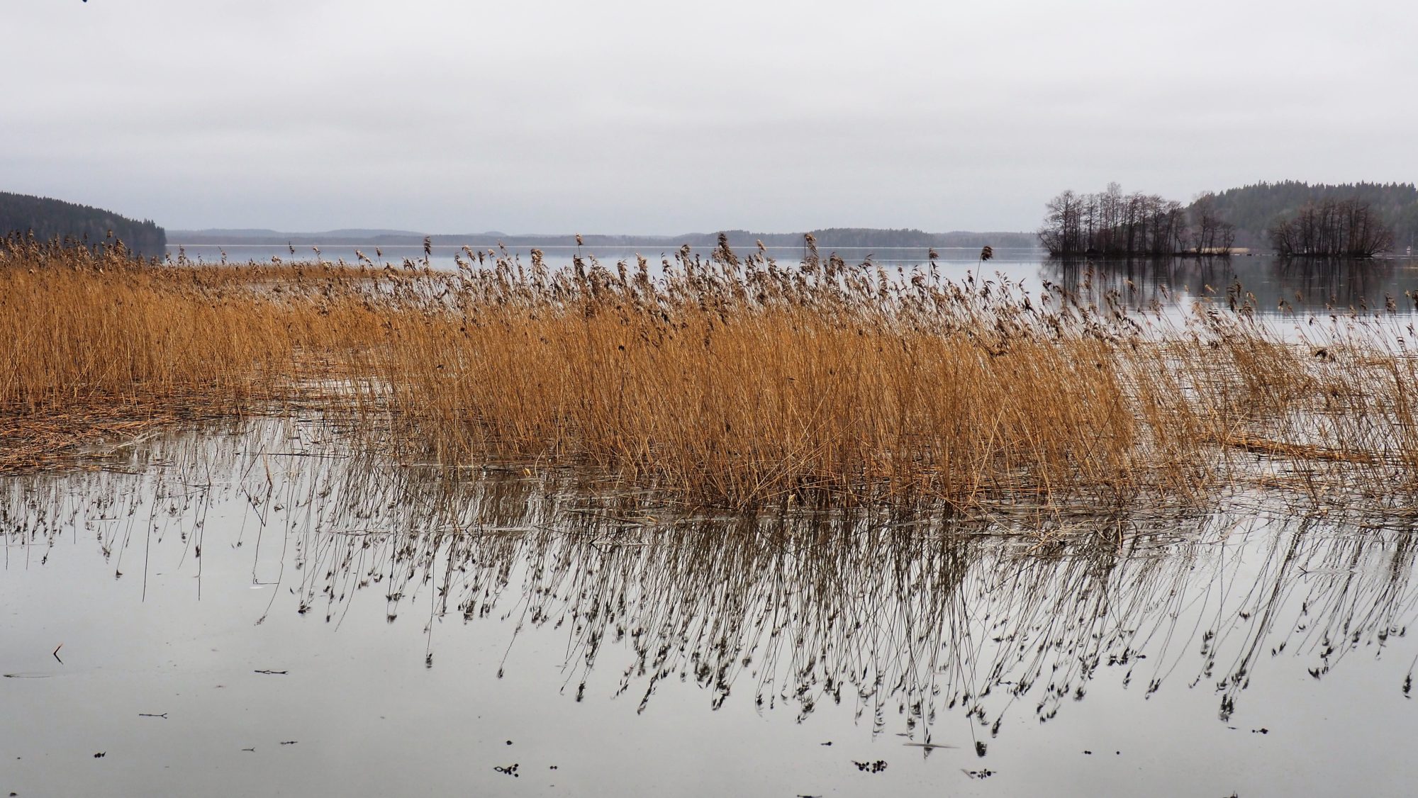 Valokuvaaja: Arja Valtonen