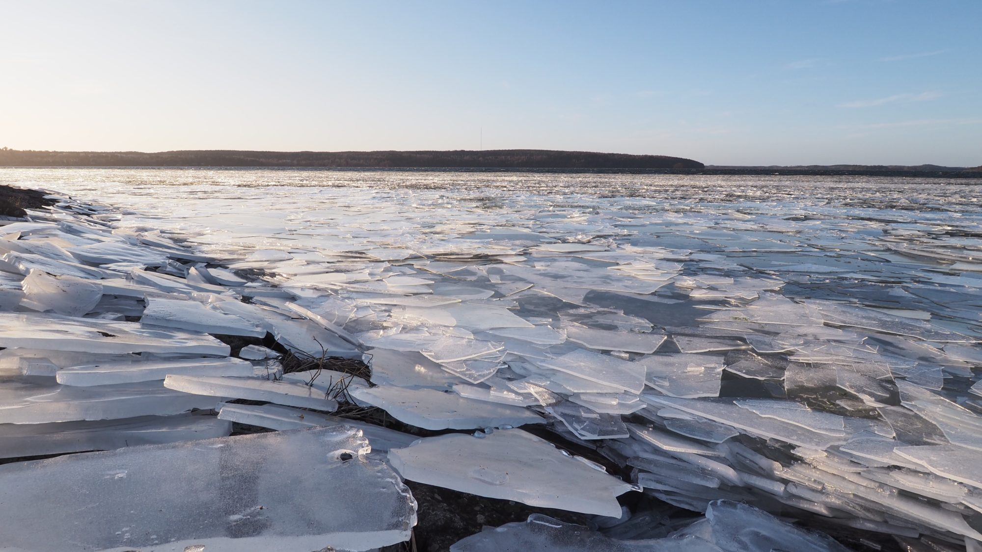 Valokuvaaja: Arja Valtonen
