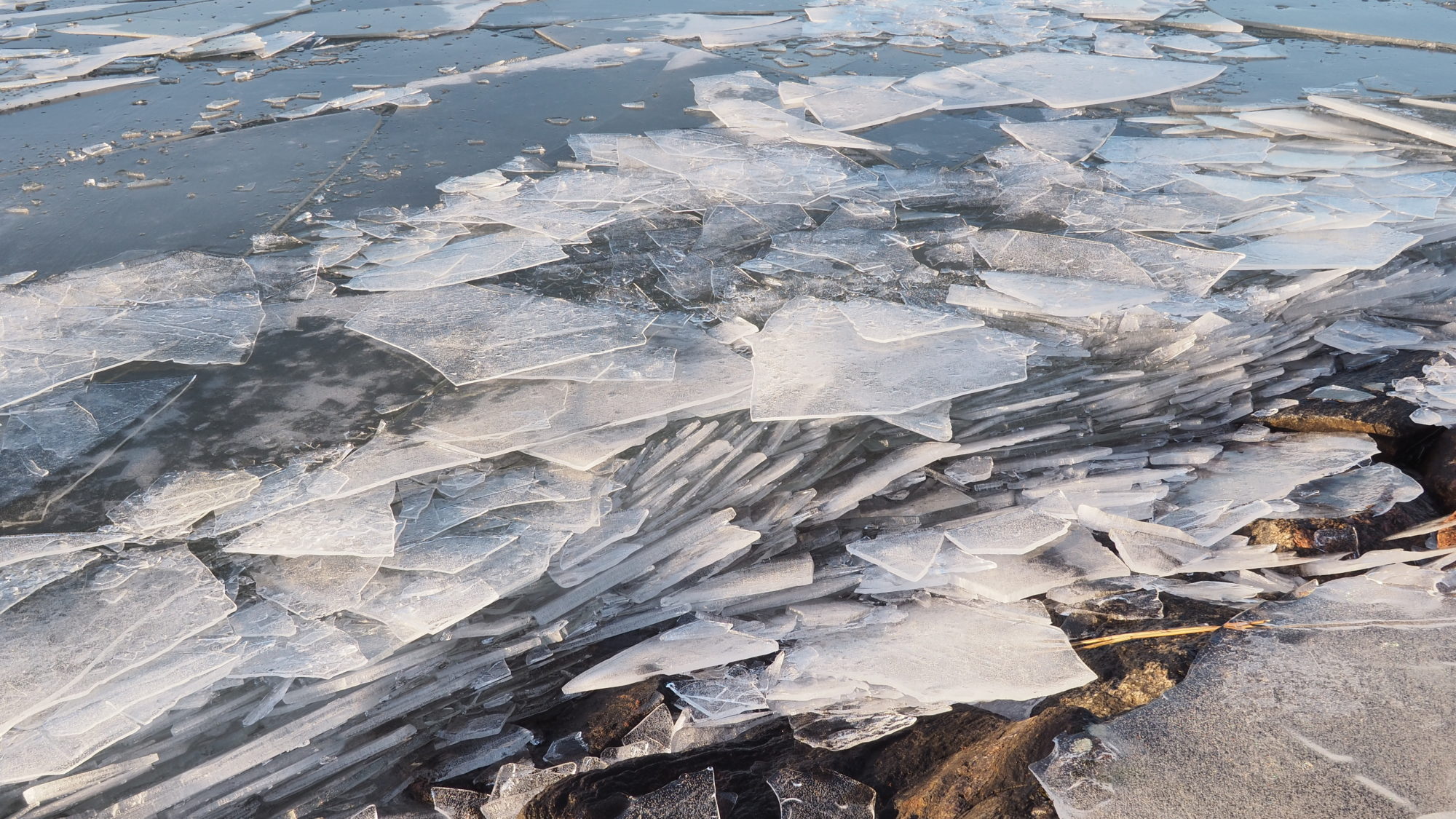 Valokuvaaja: Arja Valtonen