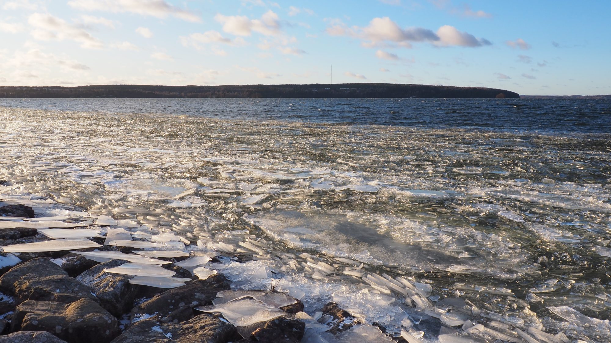 Valokuvaaja: Arja Valtonen Valokuvaaja: Arja Valtonen