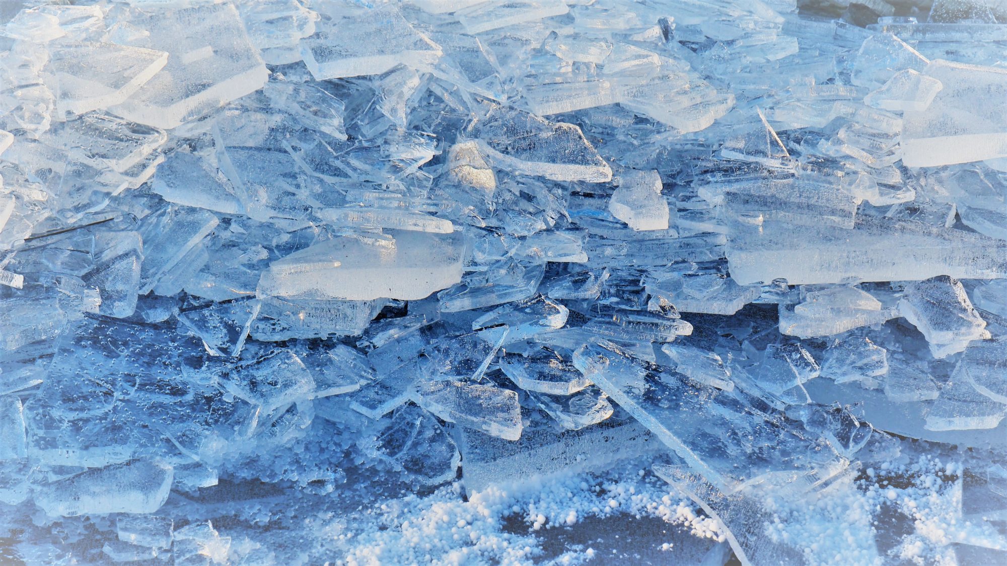 Valokuvaaja: Arja Valtonen