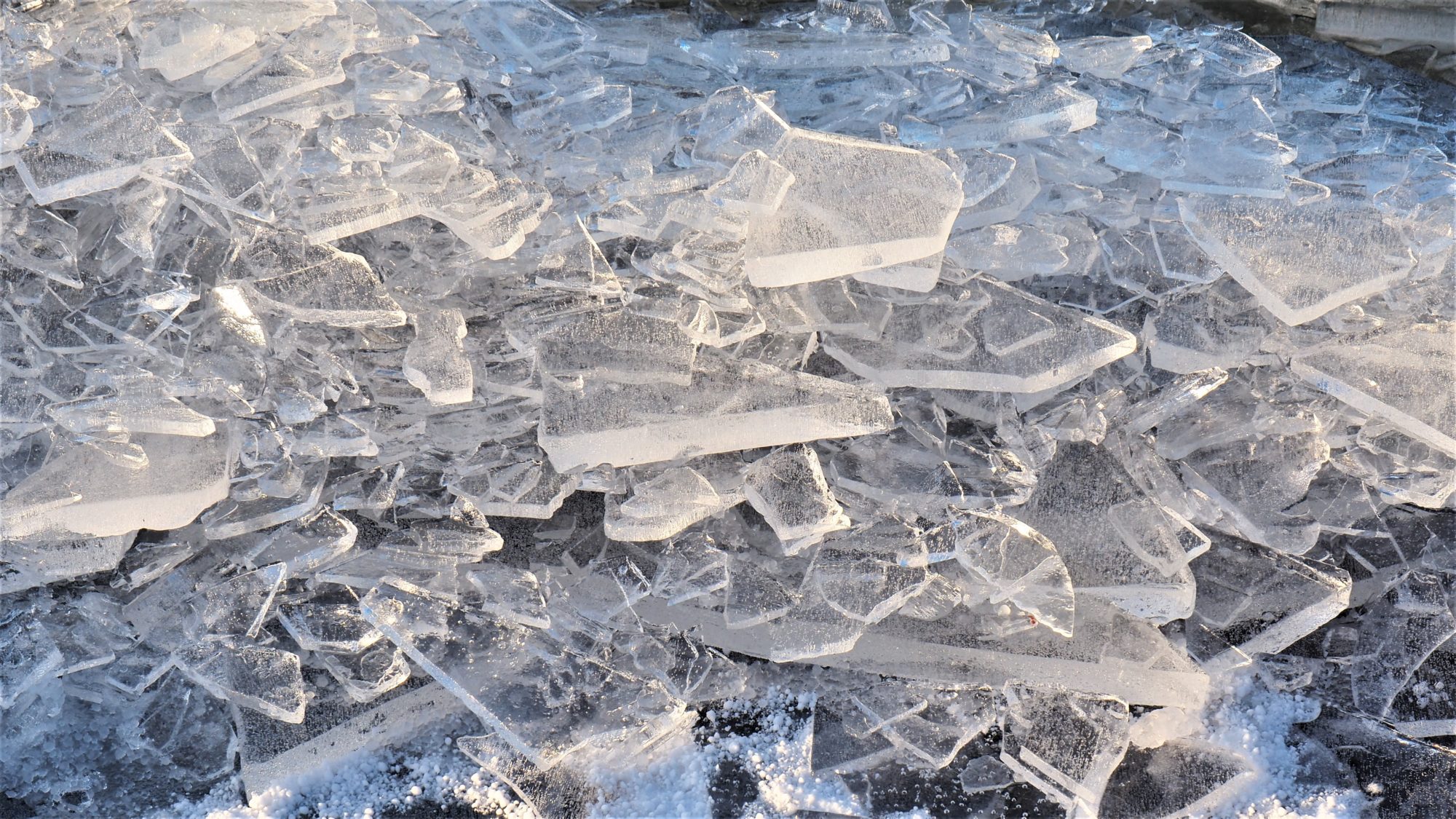 Valokuvaaja: Arja Valtonen