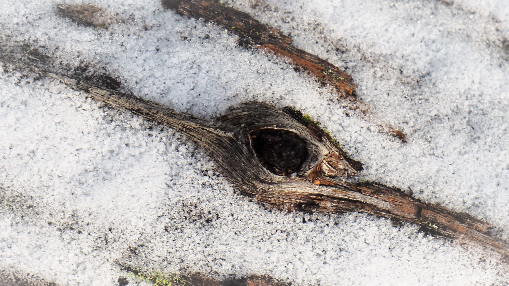 Valokuvaaja: Arja Valtonen