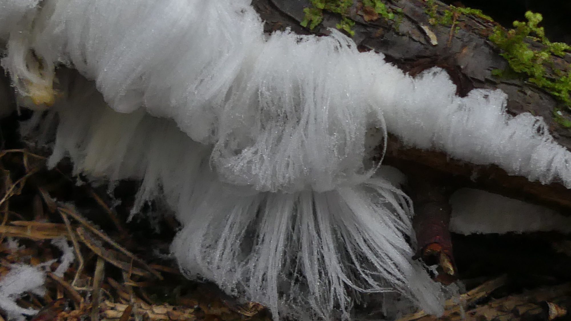 Valokuvaaja: Valtonen Martti