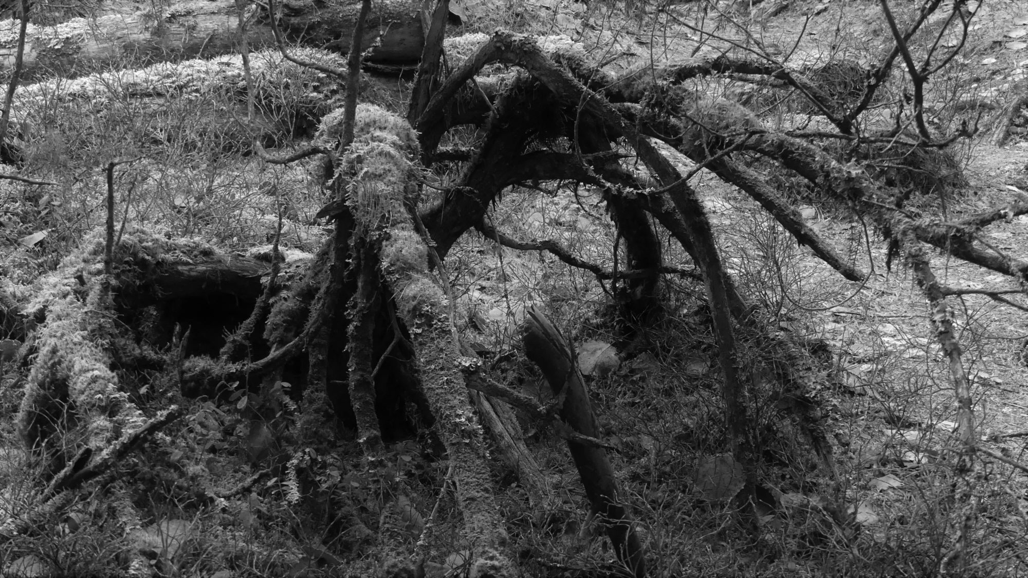 Valokuvaaja: Martti Valtonen