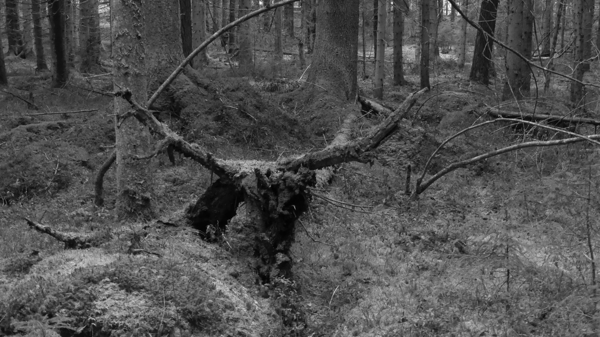 Valokuvaaja: Martti Valtonen