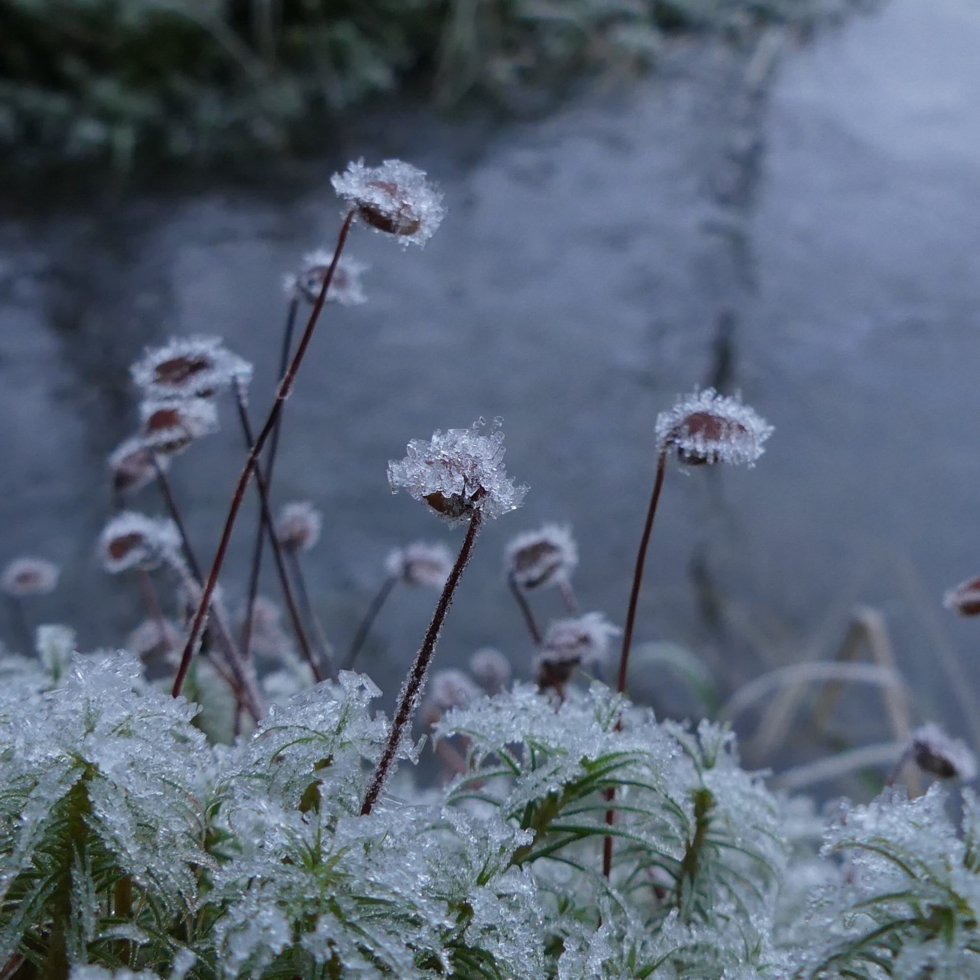 Valokuvaaja: Martti Valtonen