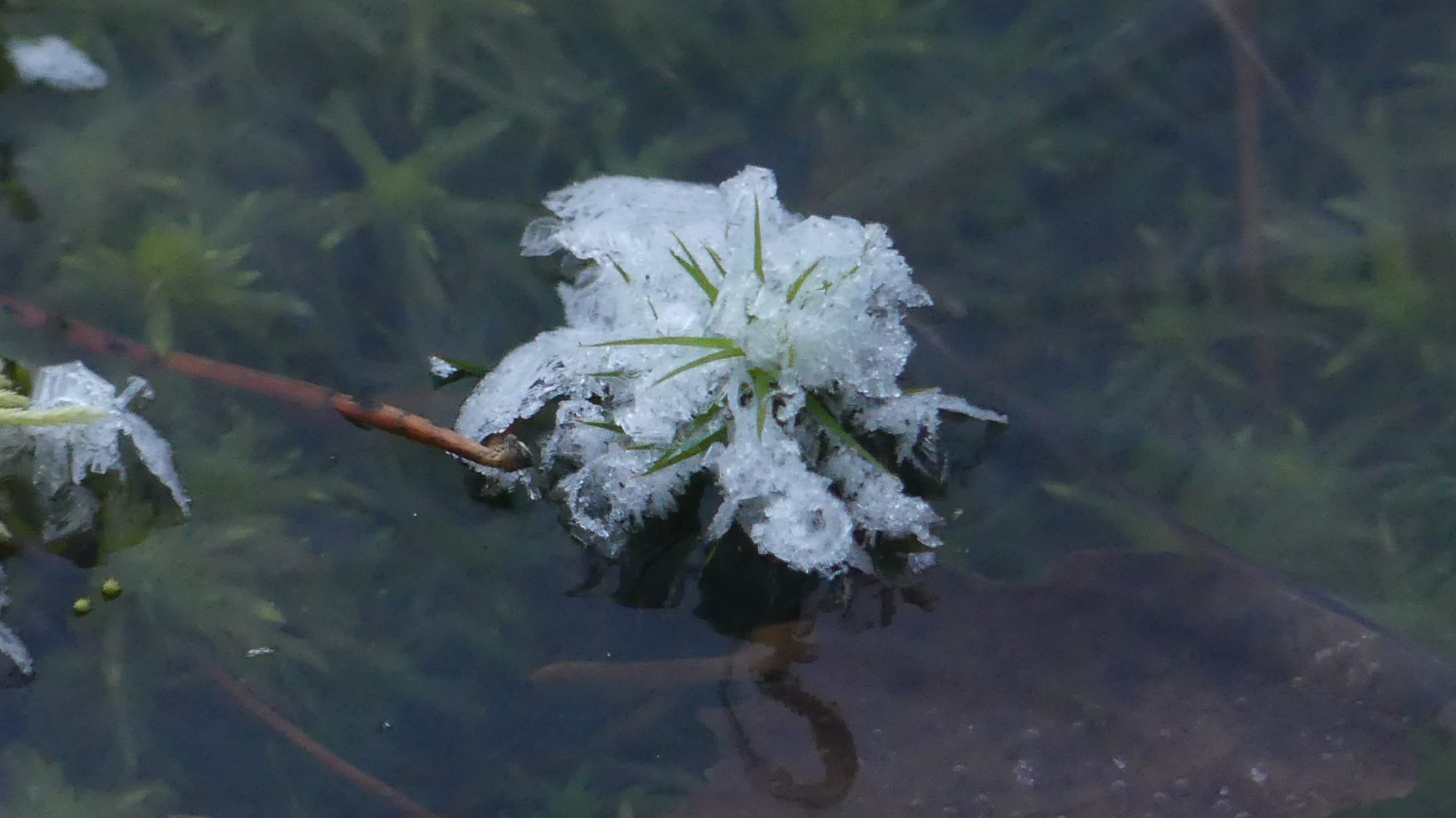 Valokuvaaja: Martti Valtonen