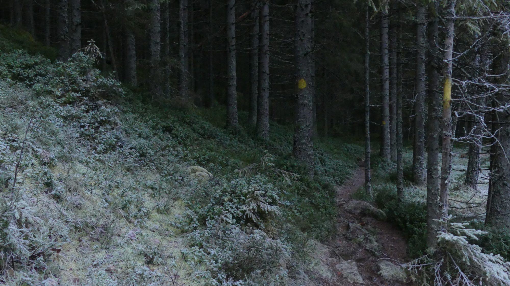 Valokuvaaja: Martti Valtonen