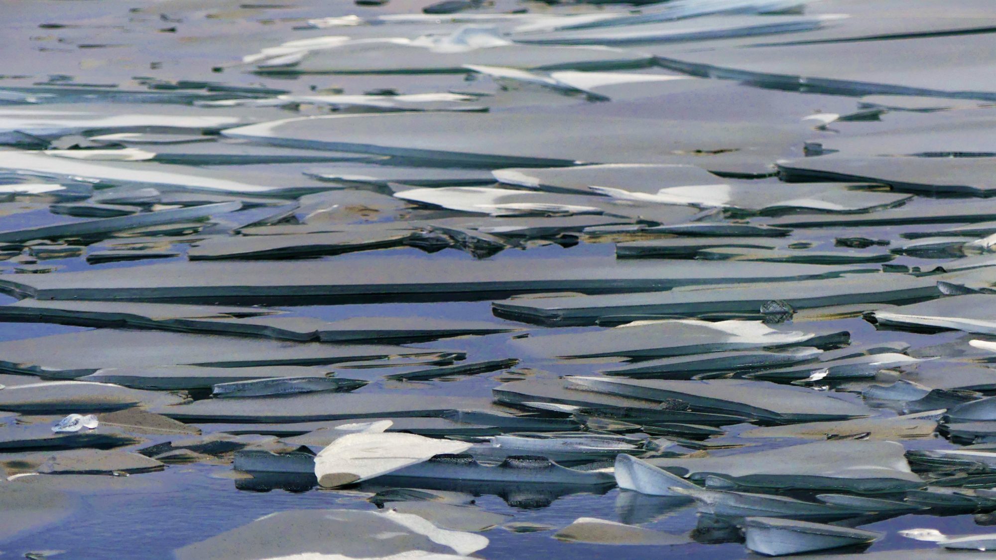 Valokuvaaja: Martti Valtonen