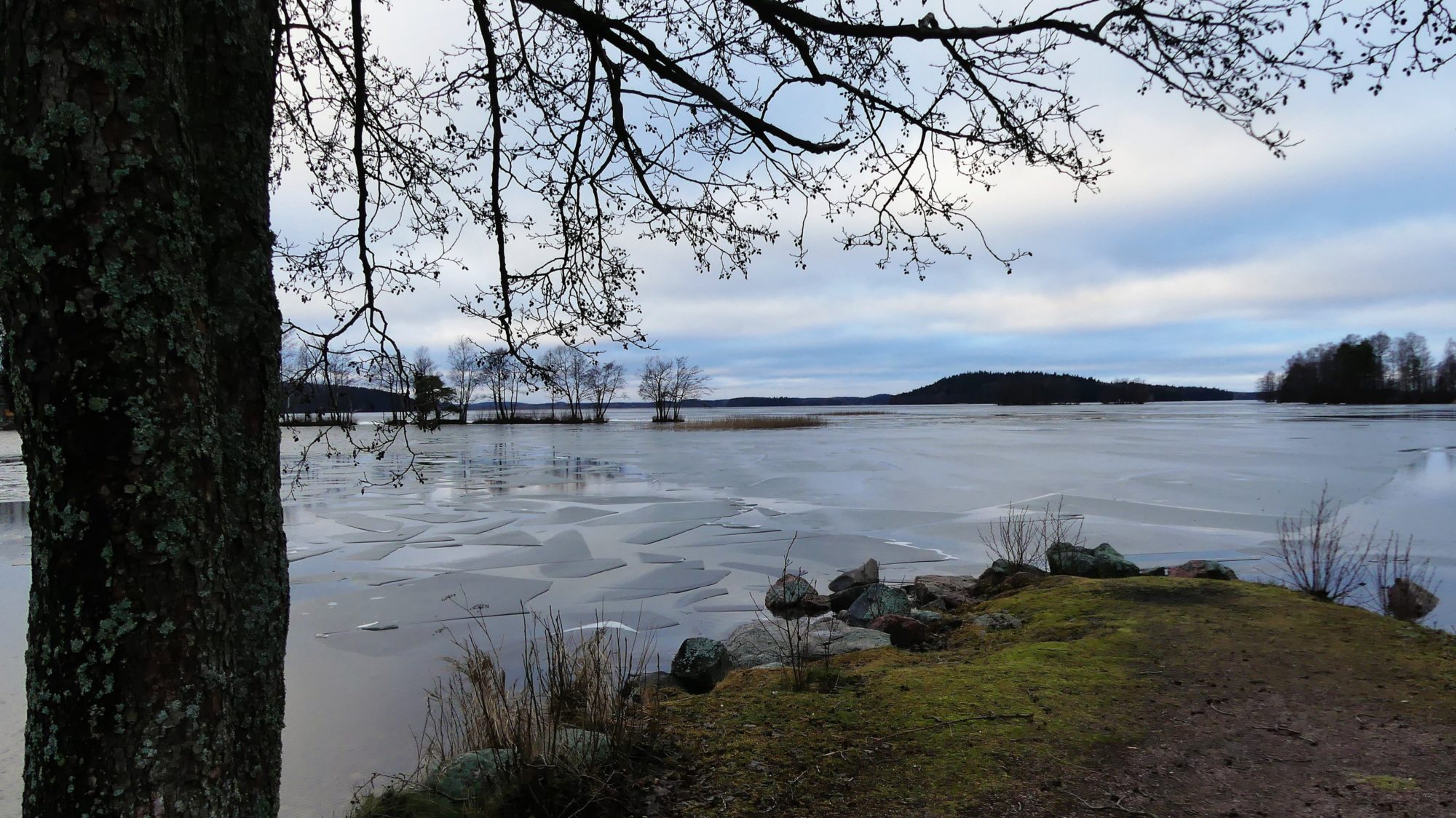 Valokuvaaja: Martti Valtonen