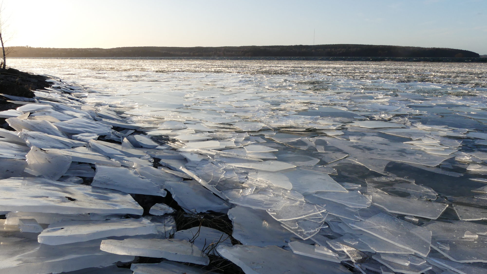 Valokuvaaja: Martti Valtonen