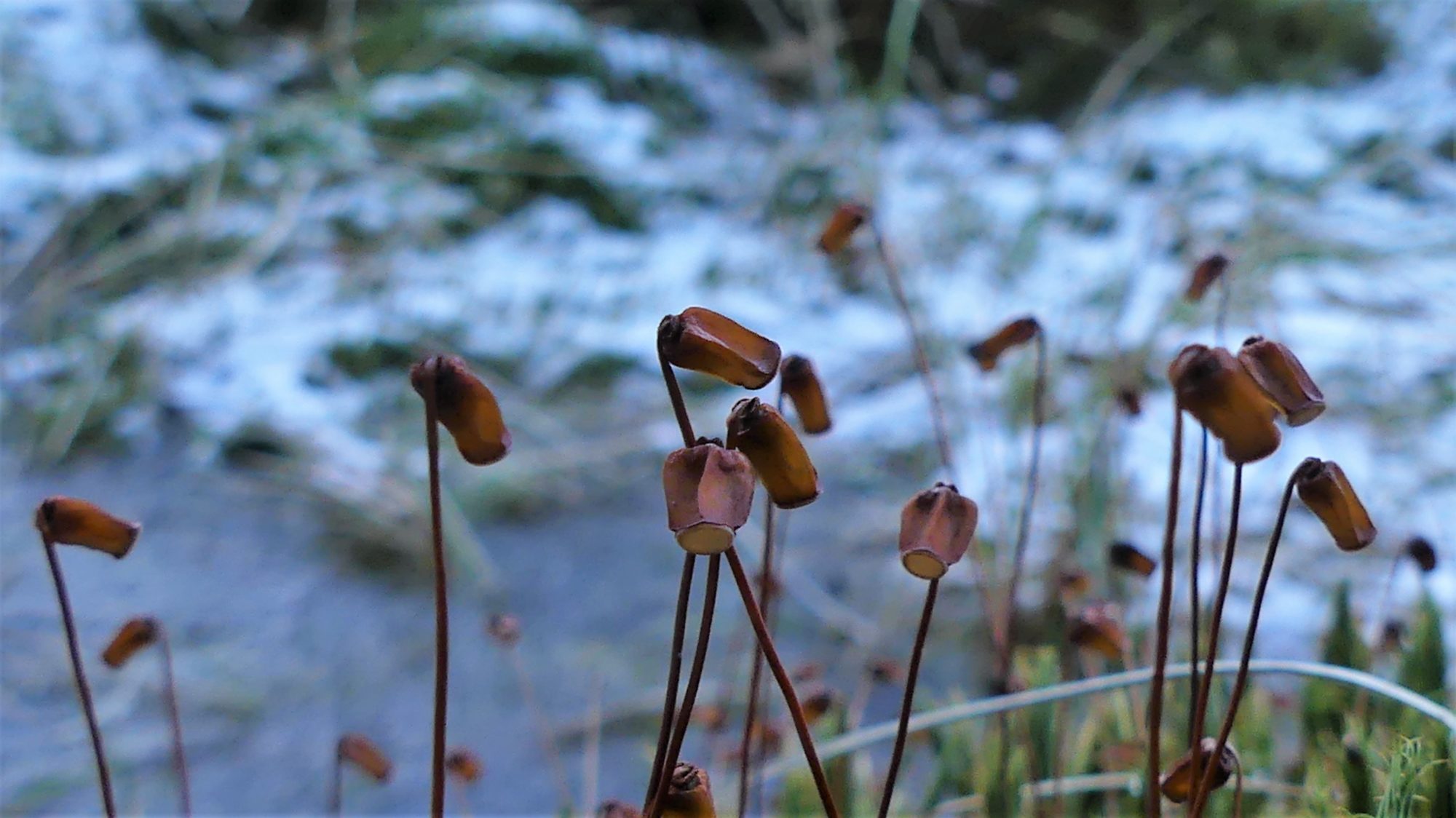 Valokuvaaja: Martti Valtonen