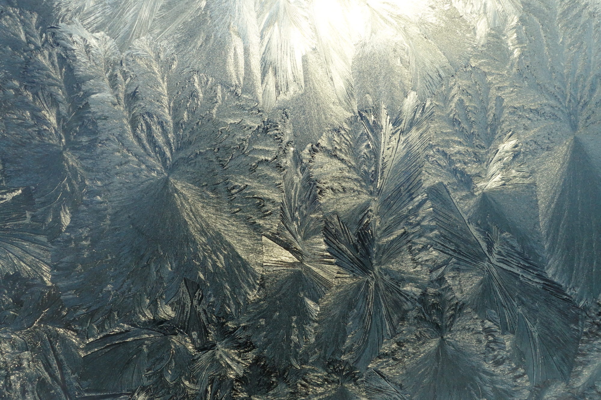 Valokuvaaja: Kaarina Heiskanen