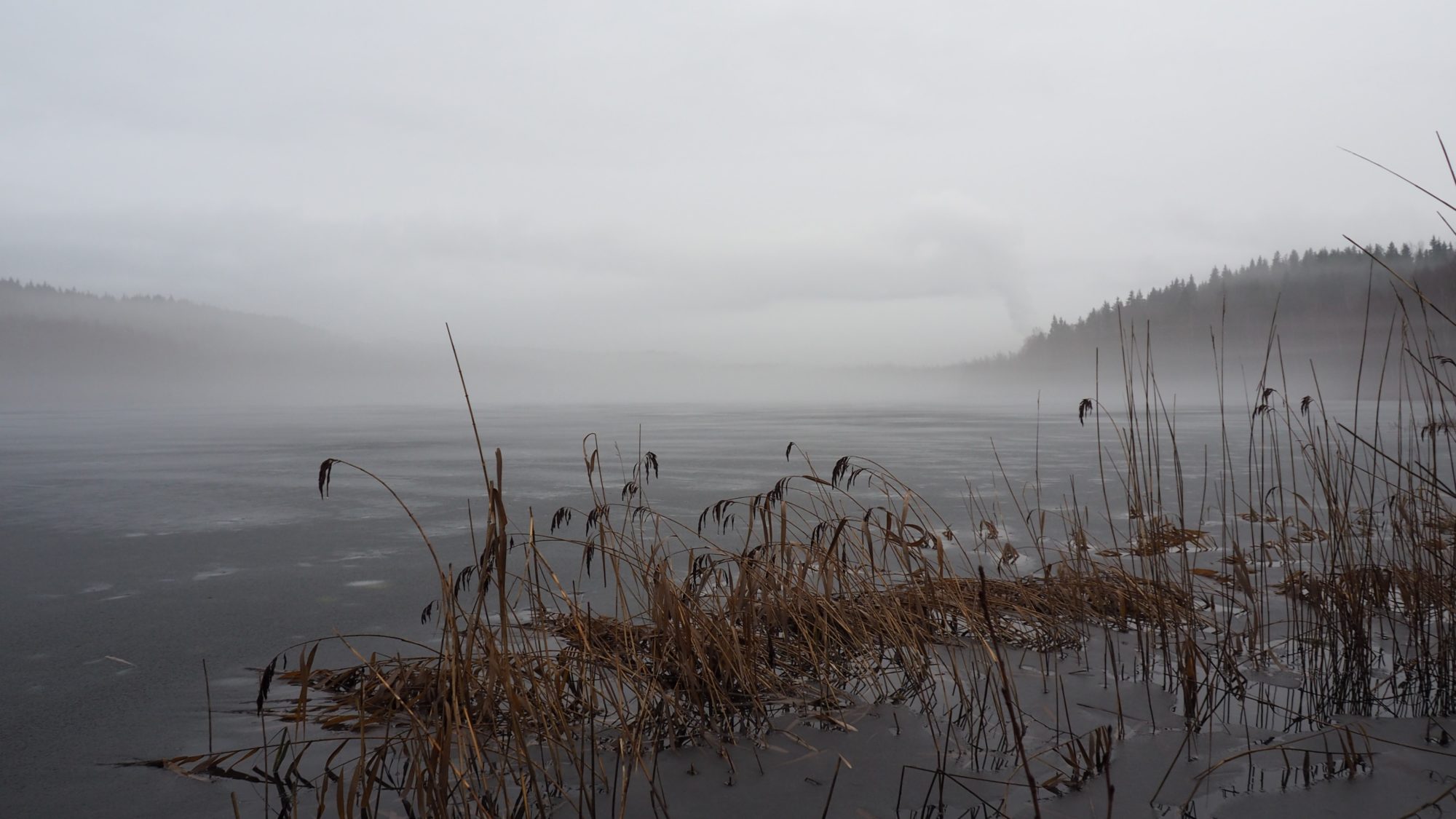 Valokuvaaja: Arja Valtonen