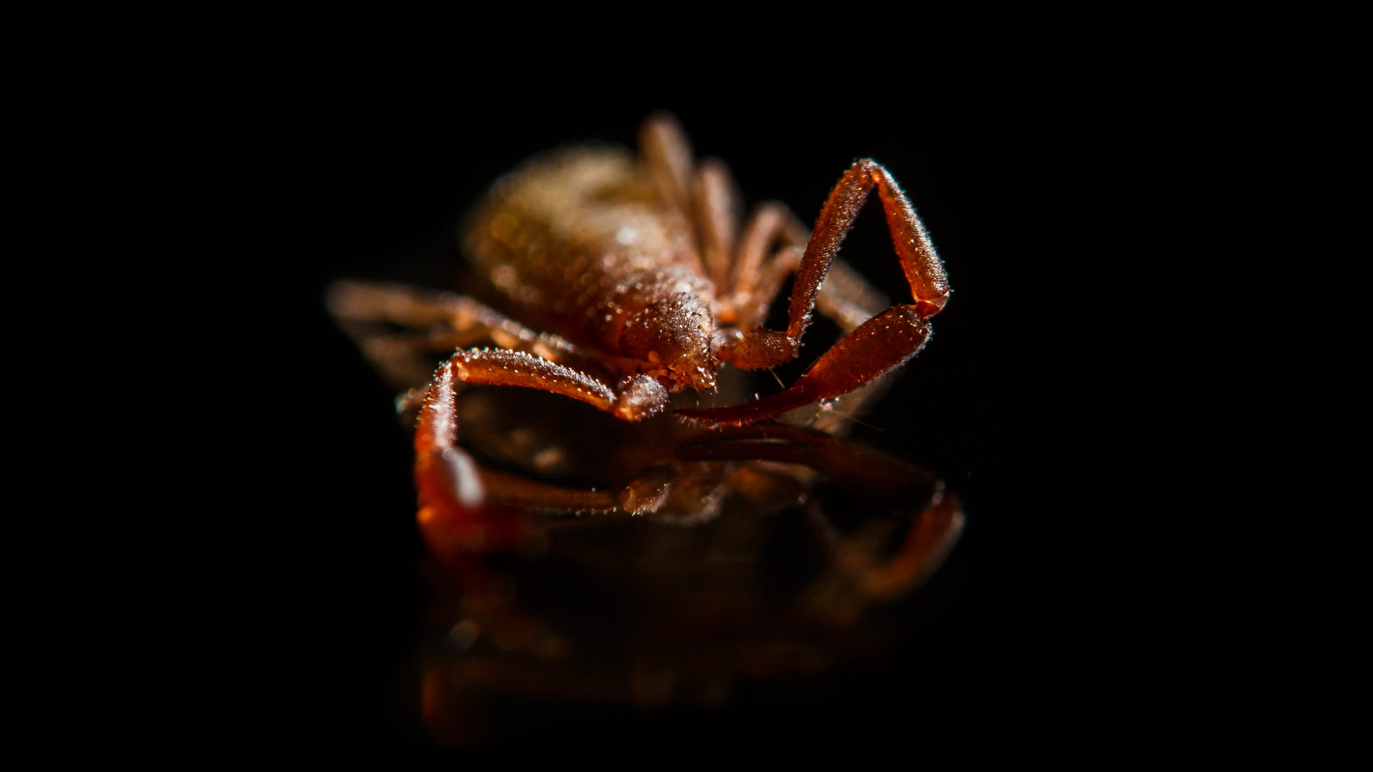 Valokuvaaja: Antti Toivanen