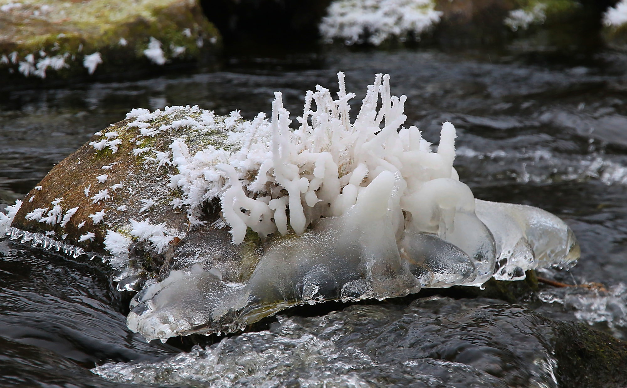 Valokuvaaja: reccu lehtonen