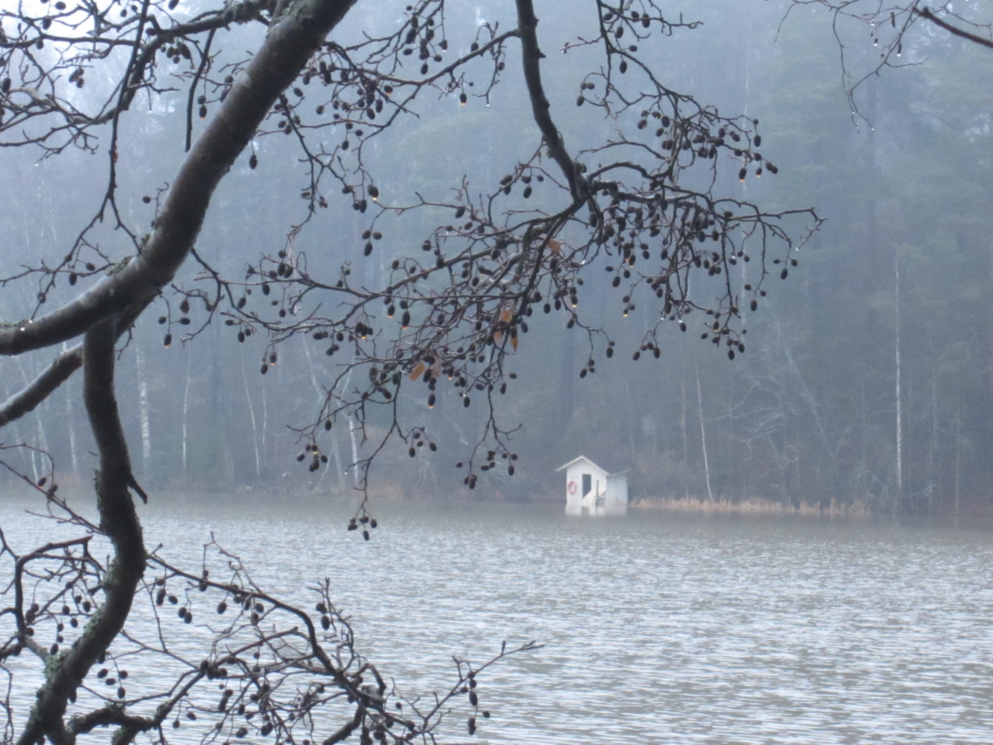 Valokuvaaja: Marita Portin