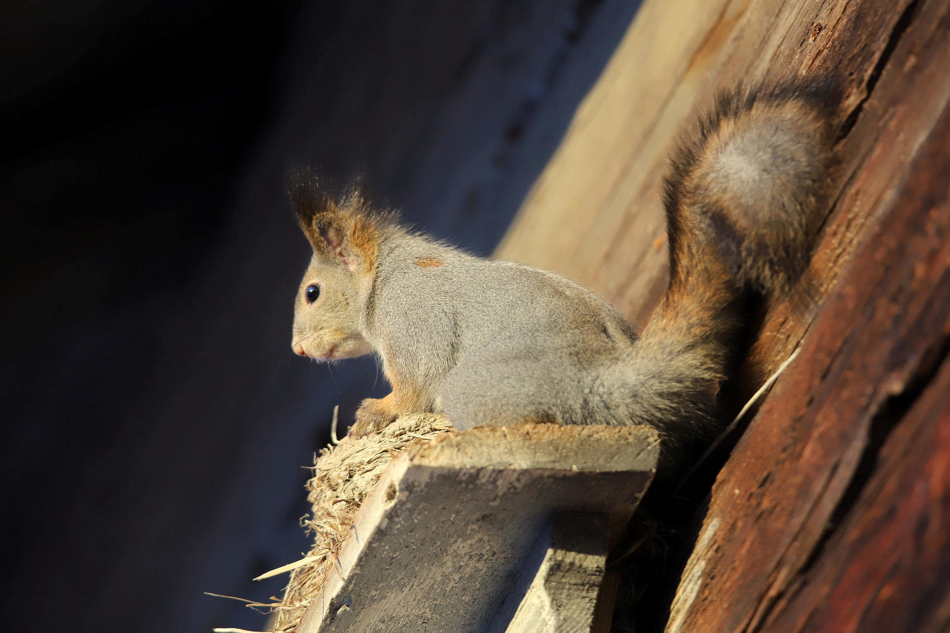 Valokuvaaja: sirpa jyske Valokuvaaja: sirpa jyske
