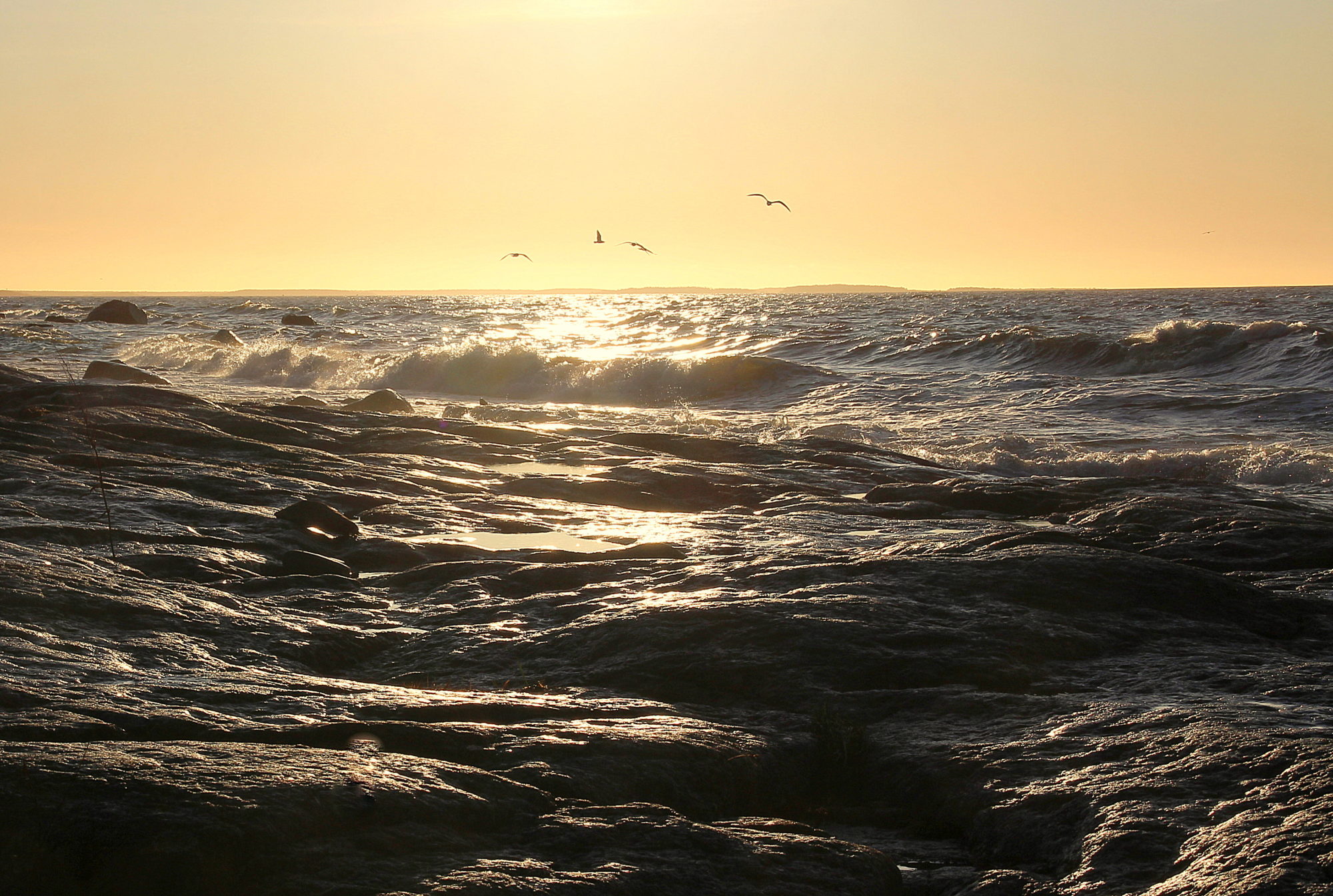 Valokuvaaja: sirpa jyske