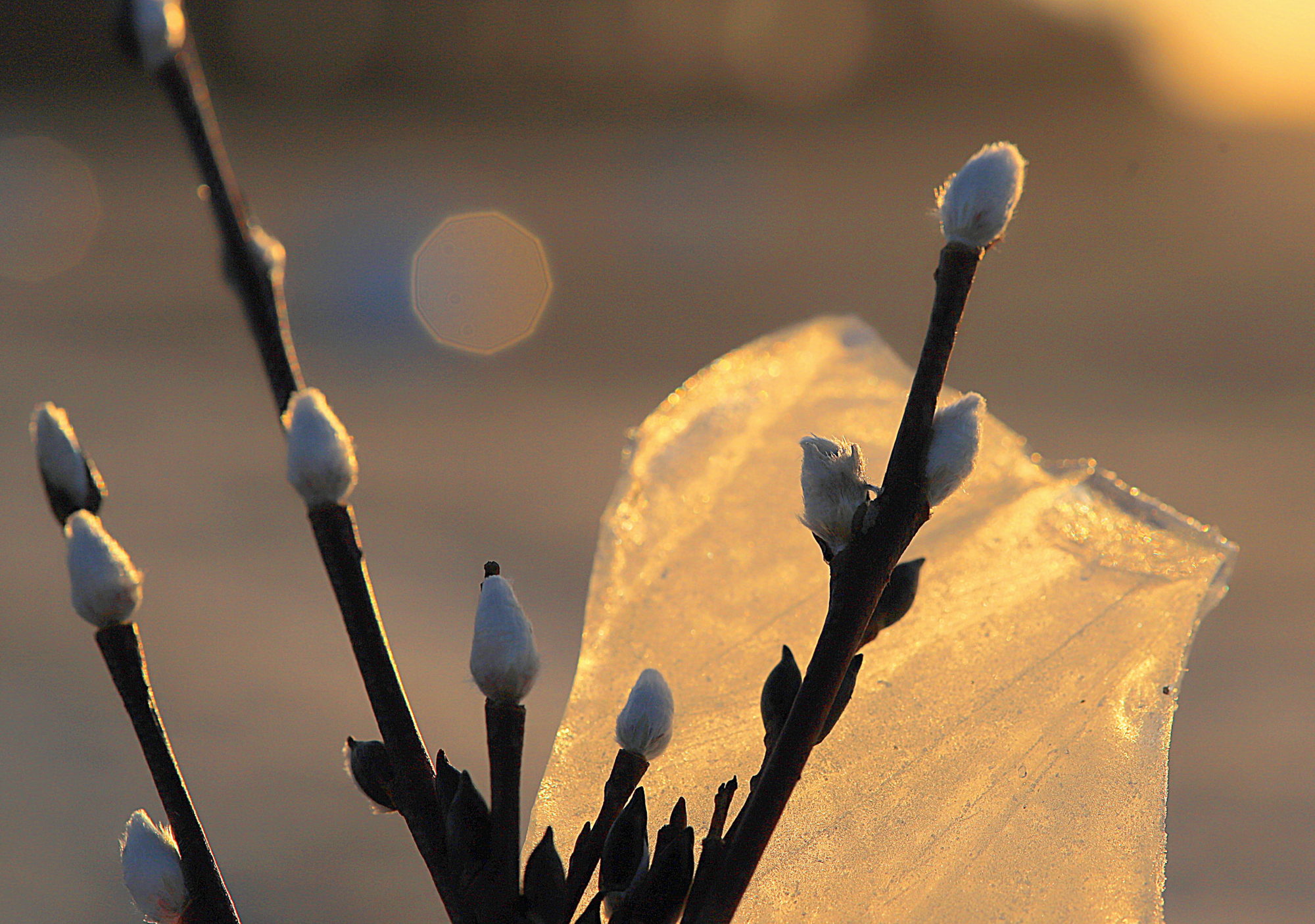 Valokuvaaja: sirpa jyske
